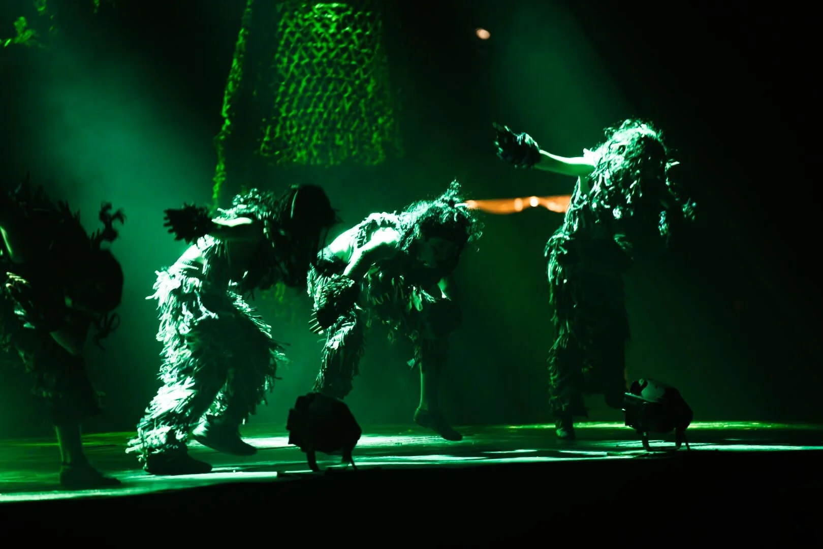 Tarzan at Lagan (12).jpg