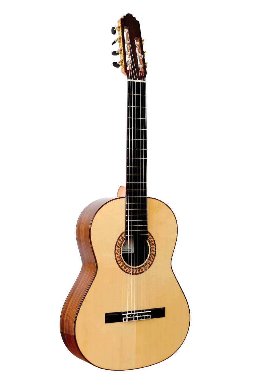 mangel udarbejde hjælpeløshed Sete Cordas (7 String) — Altamira Guitars