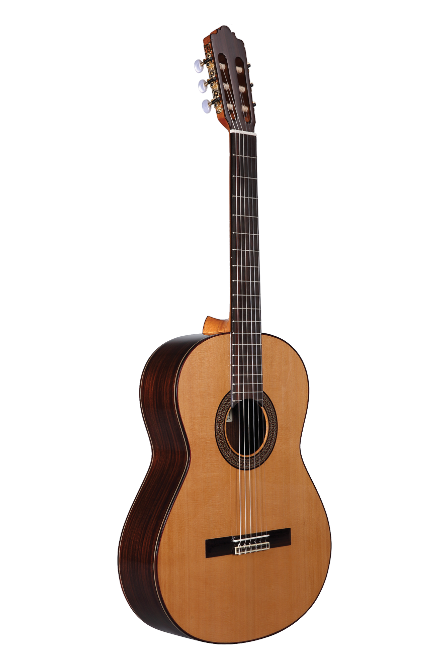 N300 — Altamira Guitars