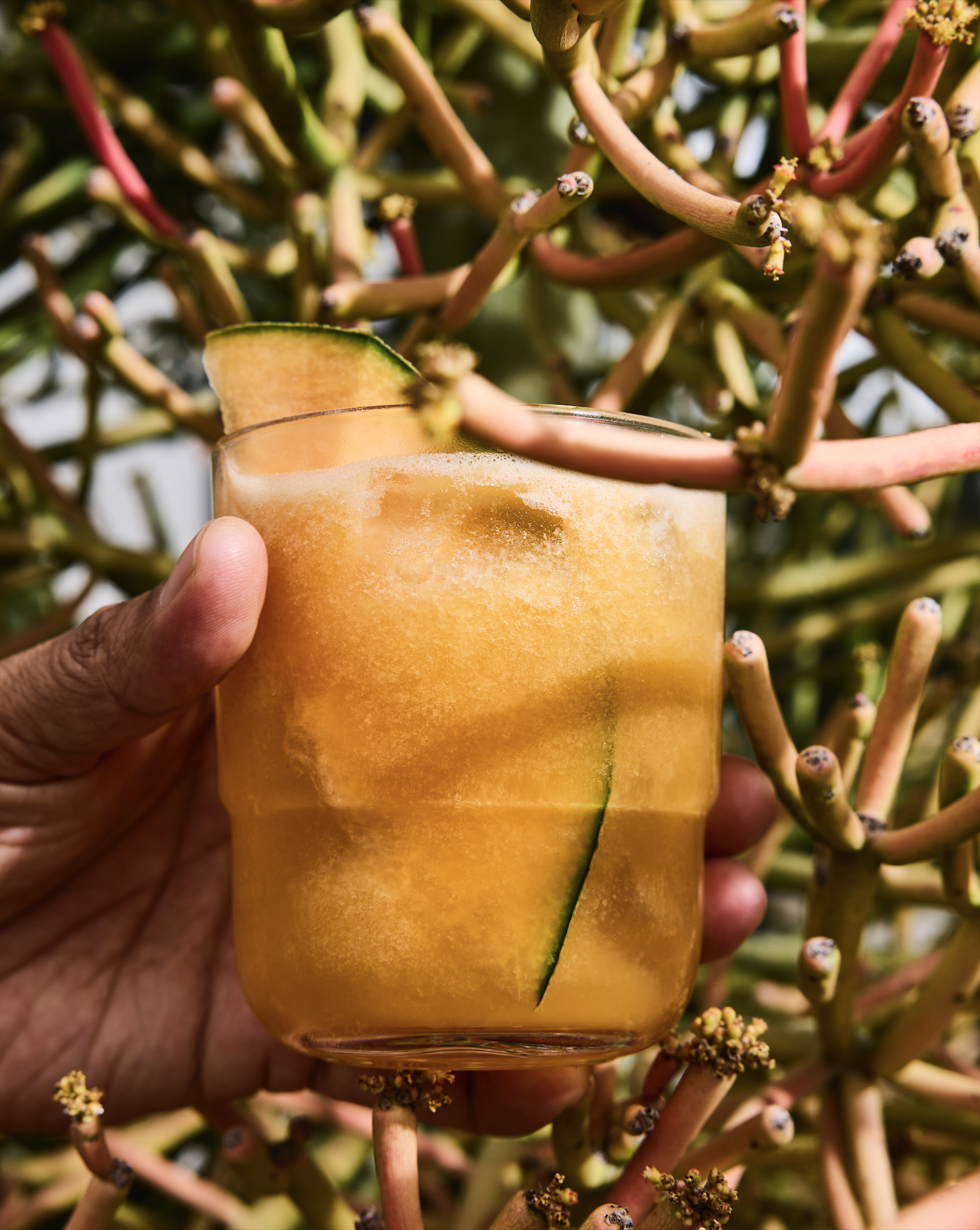 Screenshot 2026-03-17 at 9.05.34 PM.png