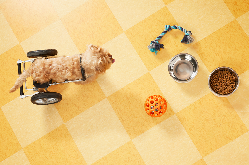 200219_Marbles_Target_Pets_09_2349_VS_R2.png