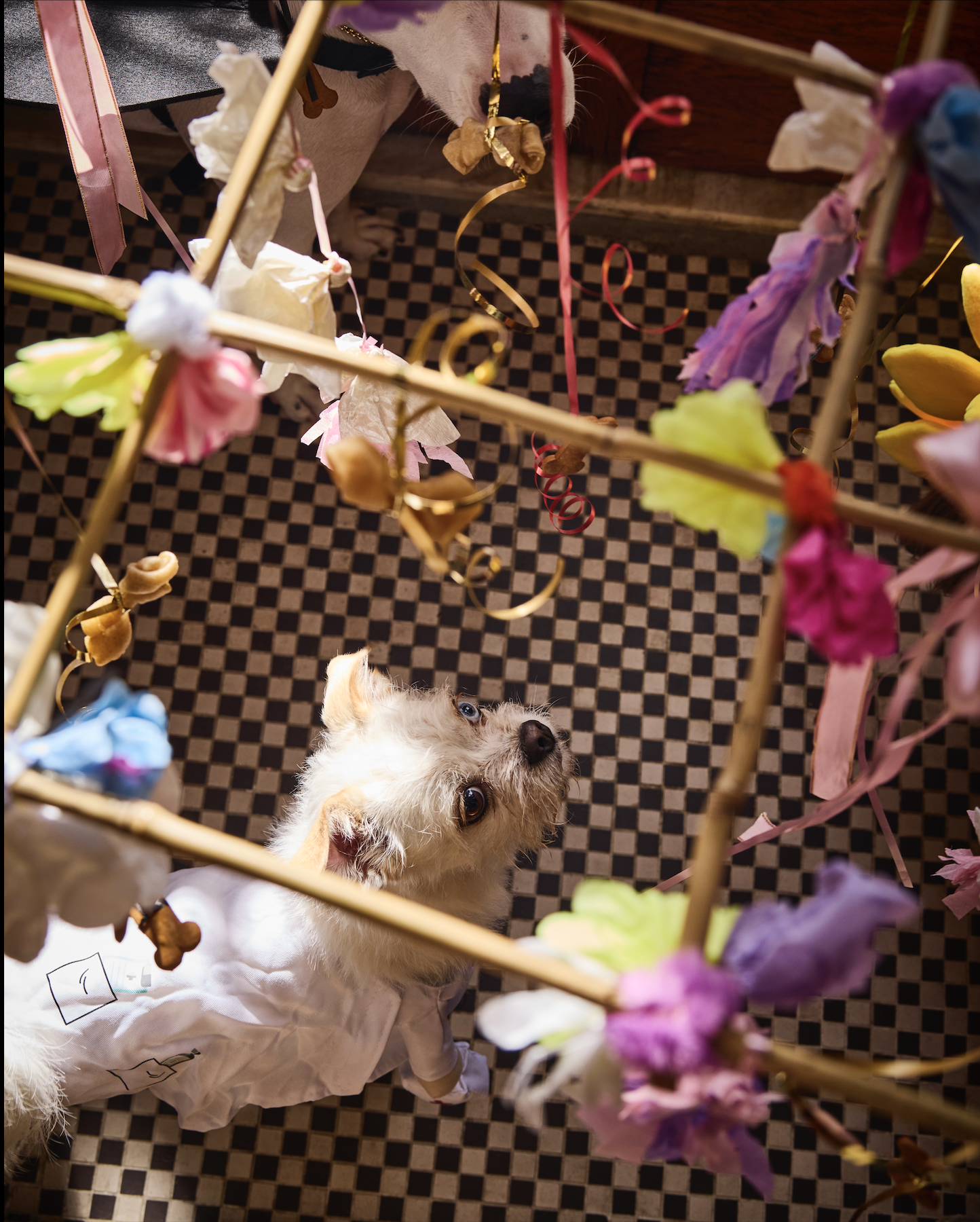 Screenshot 2026-03-17 at 4.57.31 PM.png