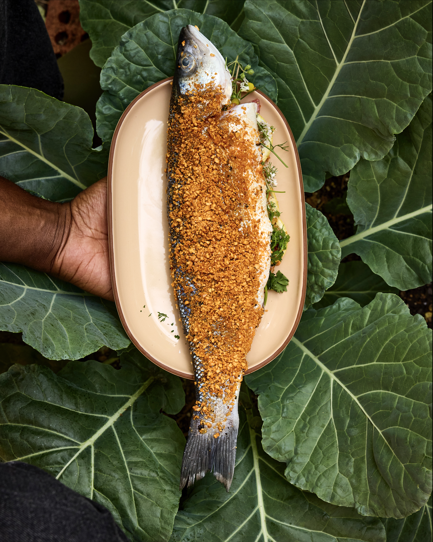 Screenshot 2026-03-17 at 9.01.15 PM.png