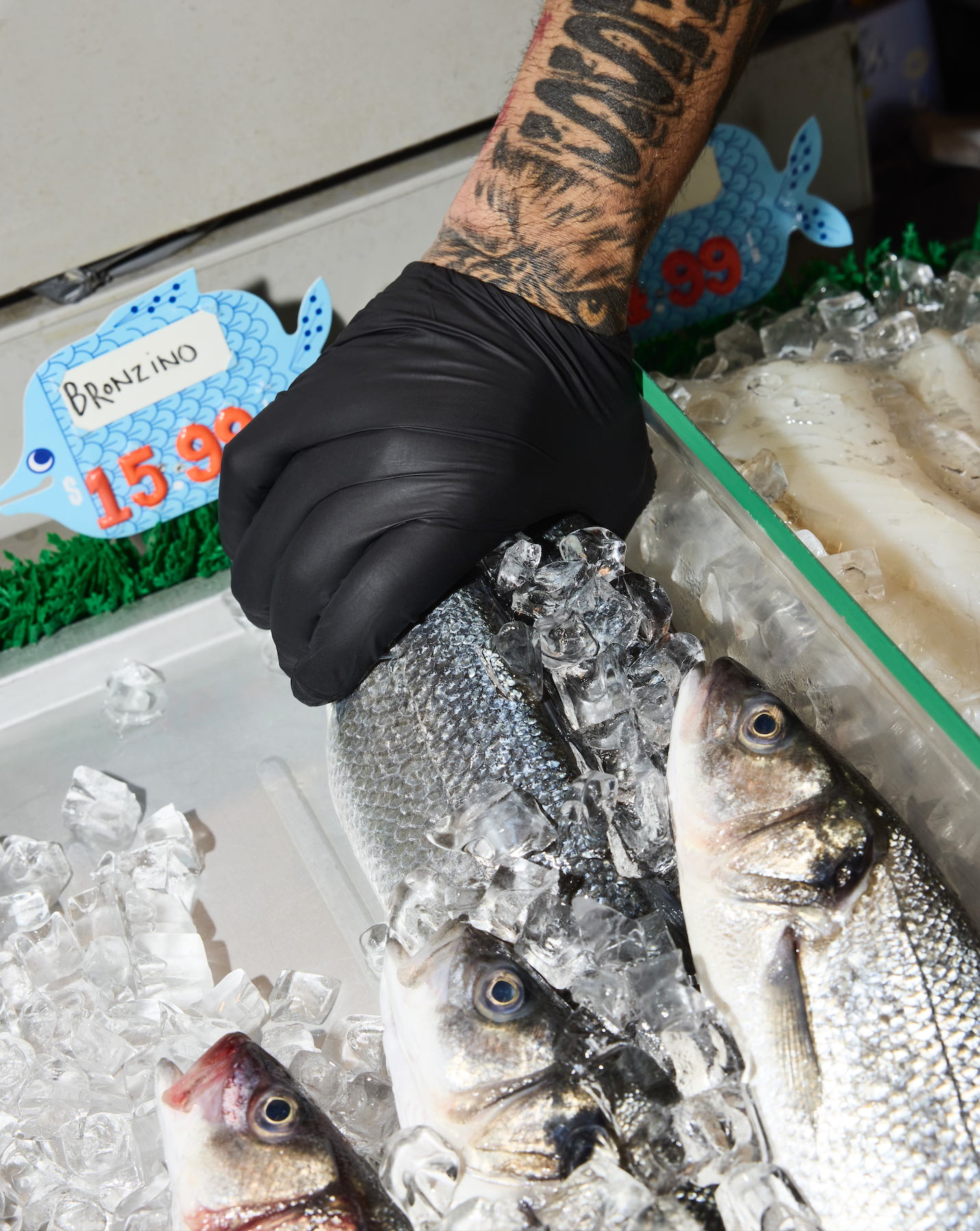 Screenshot 2026-03-17 at 9.00.22 PM.png