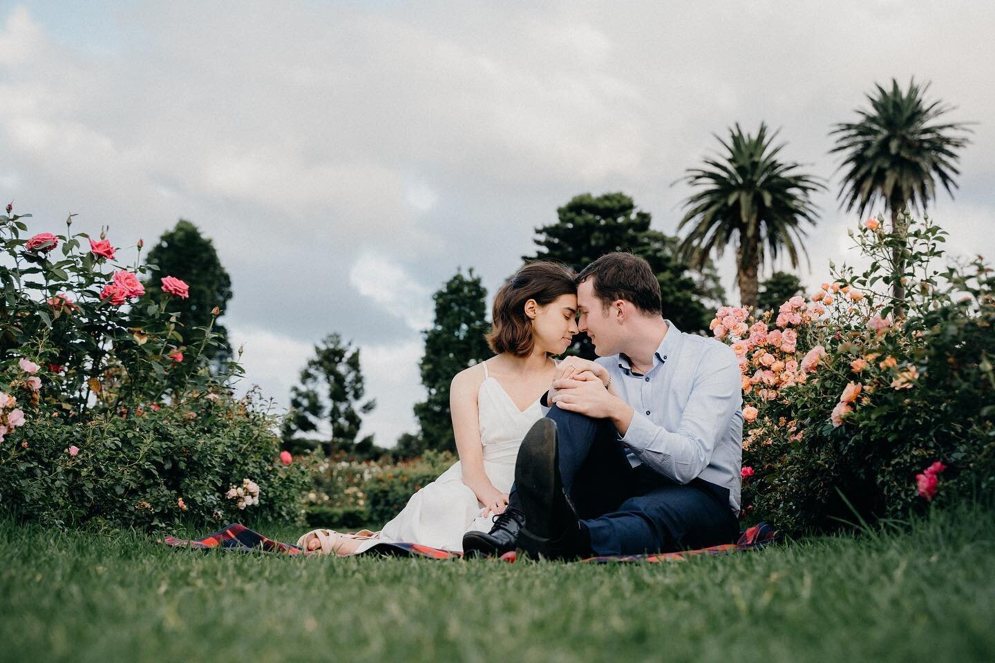 Aimee + Luke ❤️

#sydneyweddingphotographer #sydneyweddingphotography #sydneyweddingphotographers #sydneyweddingphotos #sydneyweddingvideographer #sydneyweddingvideography #sydneyweddingvideographers #sydneywedding #sydneyweddings