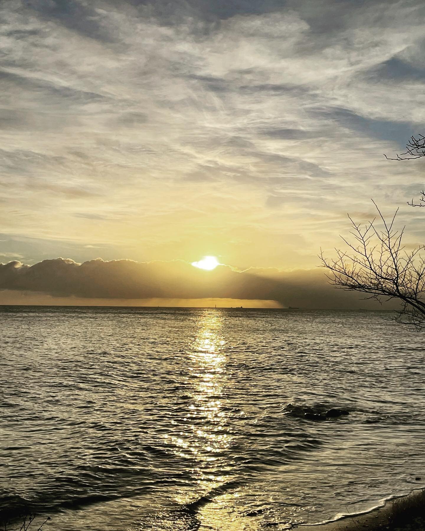 Take a break and enjoy the beautiful colours of Nature💫💙
.
.
.
.
.

#beautifulwinter #nordicliving #nordiccolours #quietness #innerpeace #skodsborg #denmark2022