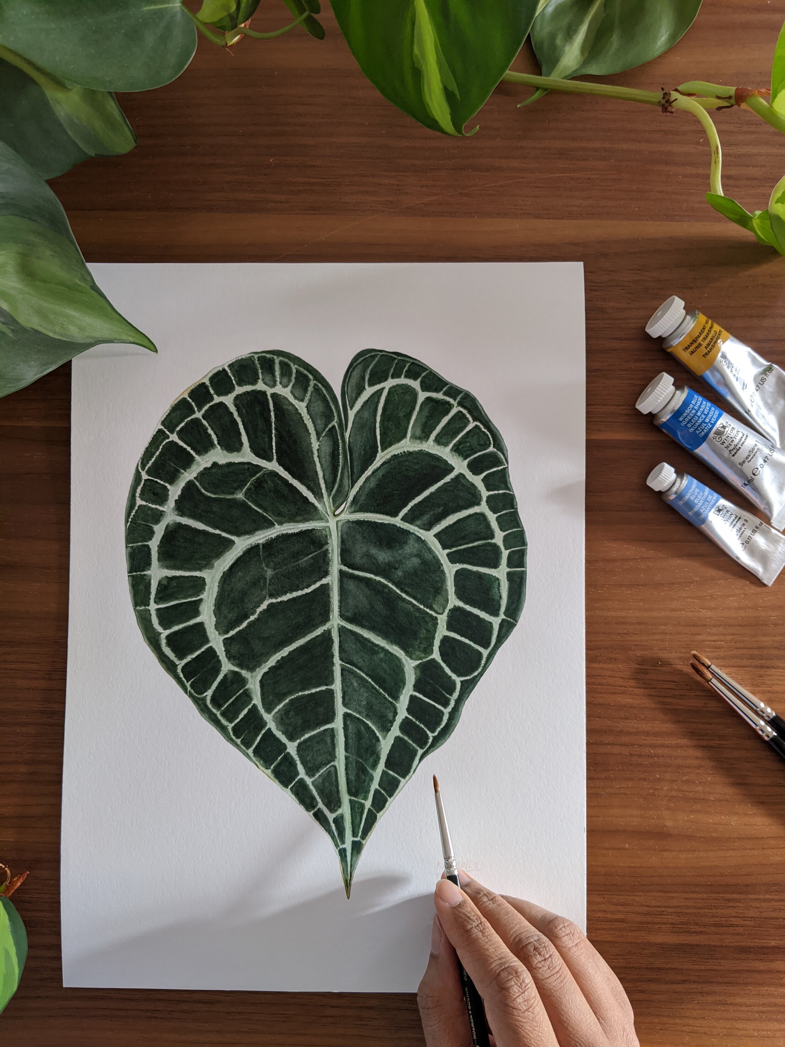 Anthurium_In Progress.jpg