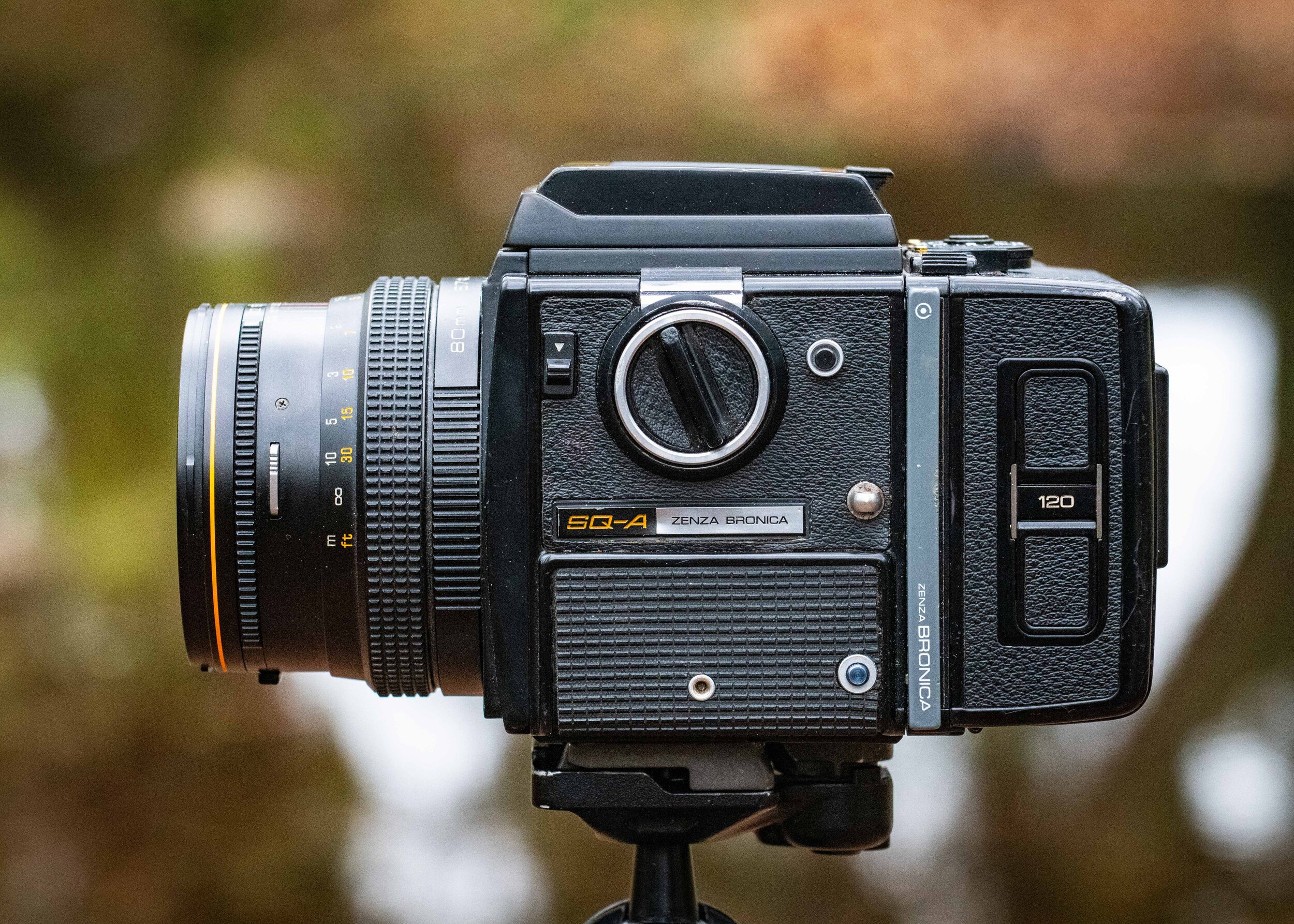 Bronica SQ-A Review — Gregory Owain