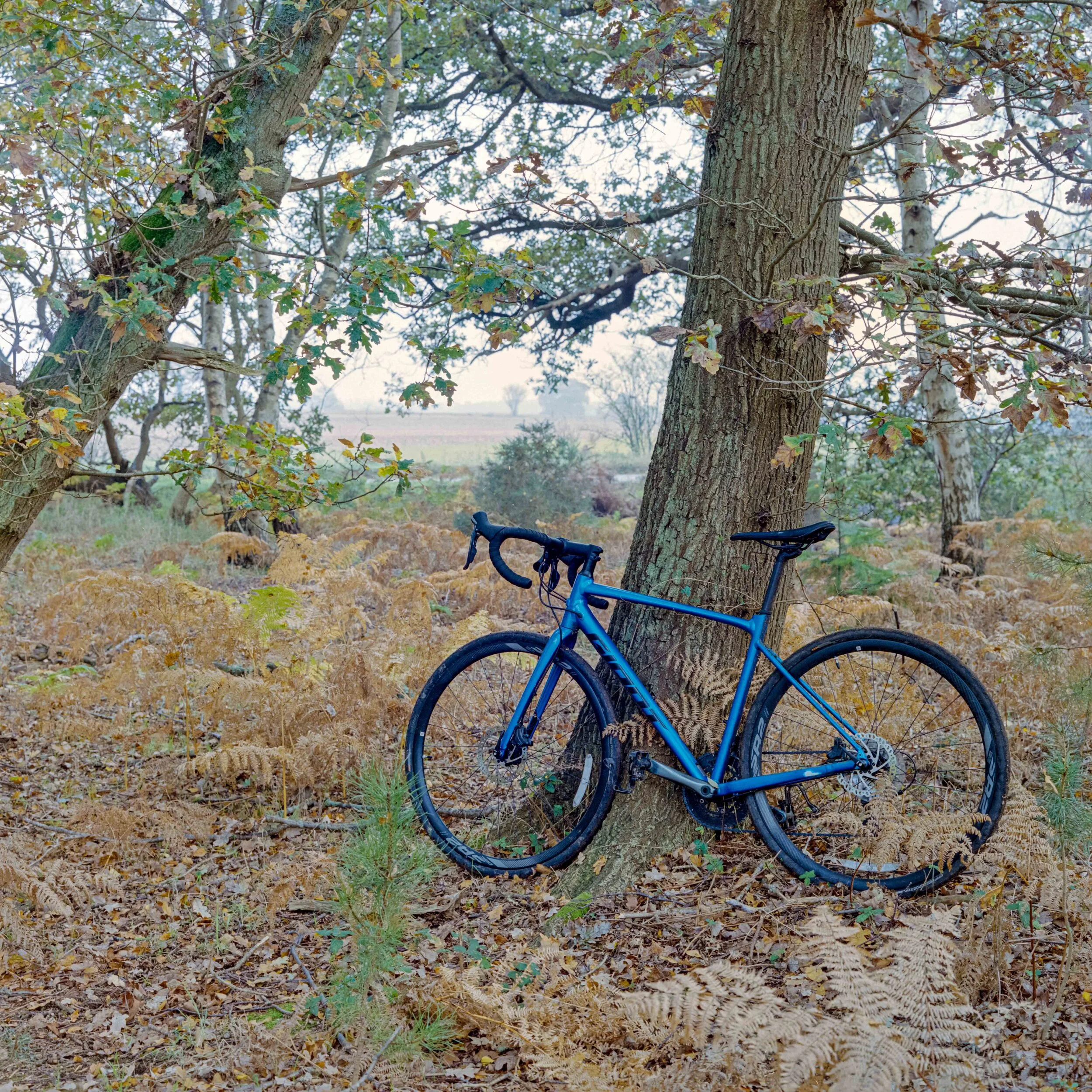 Location Scouting &amp; Ditching the Car