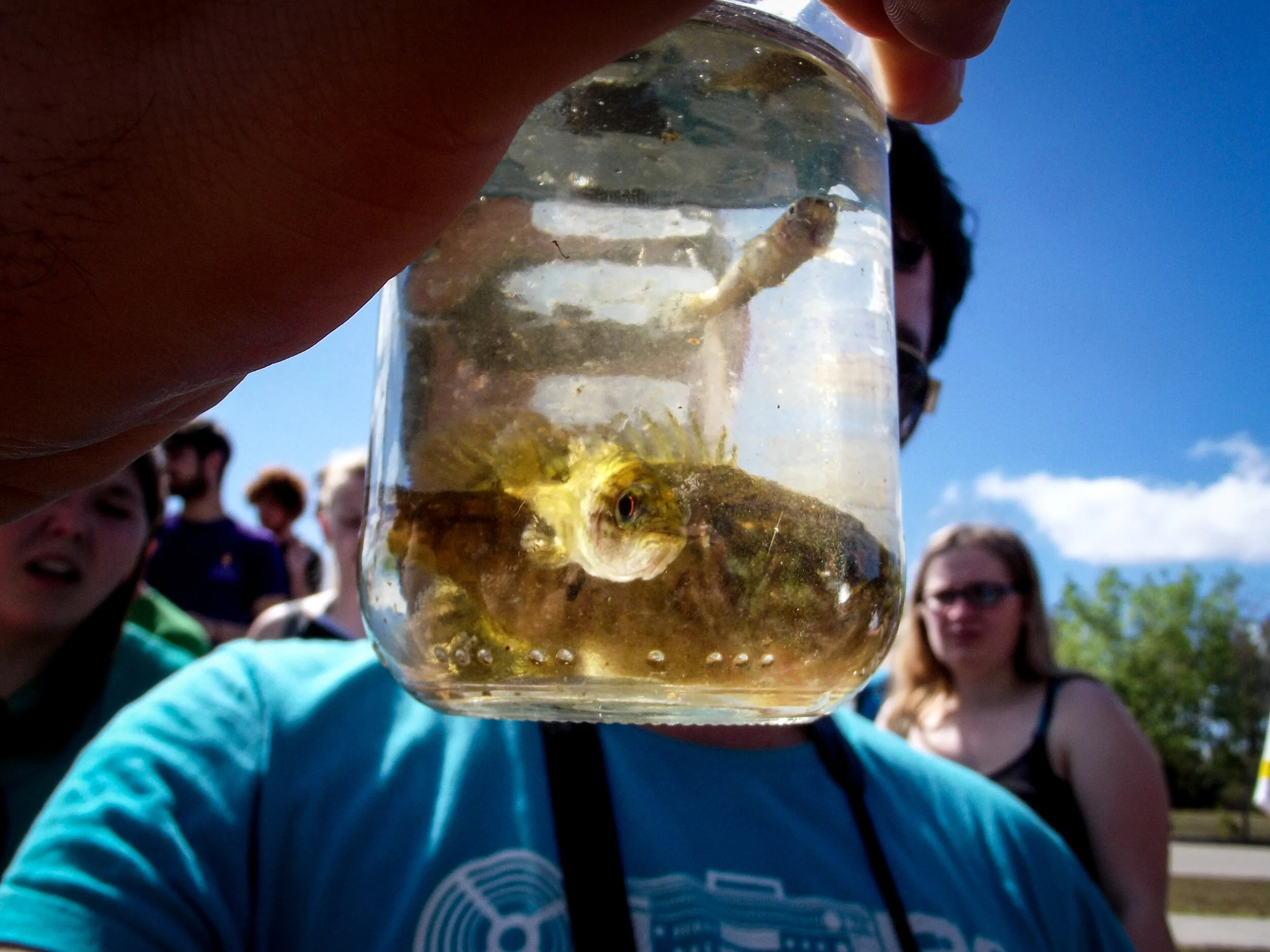 Wind Back - Florida 2015