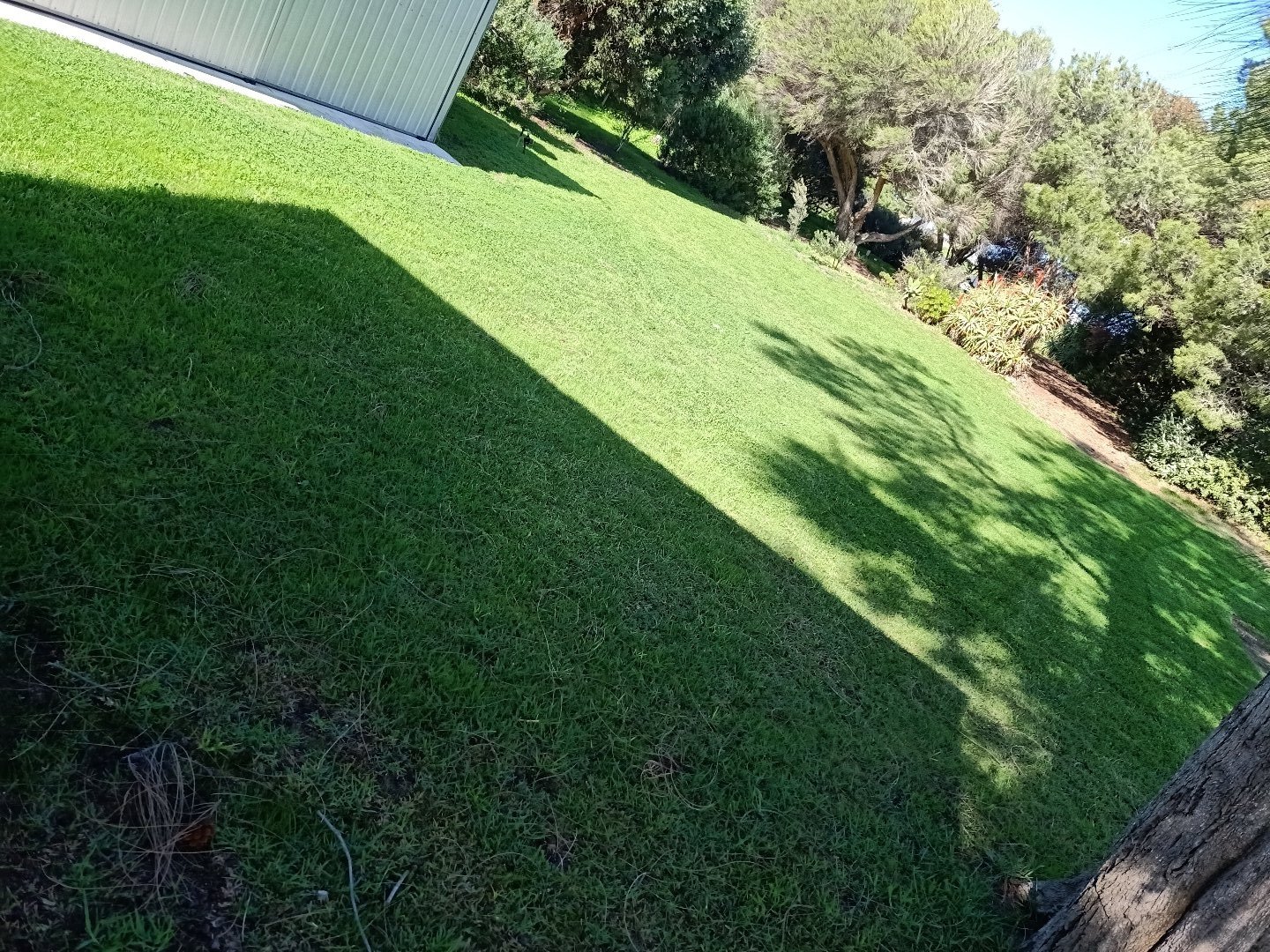 imageResized_bb9ca4f4_e93a_4c27_856b_7f2e2d8513752616688052158300500_110a4e0f-6c6a-48f9-8f0d-372c0a27689f.jpg