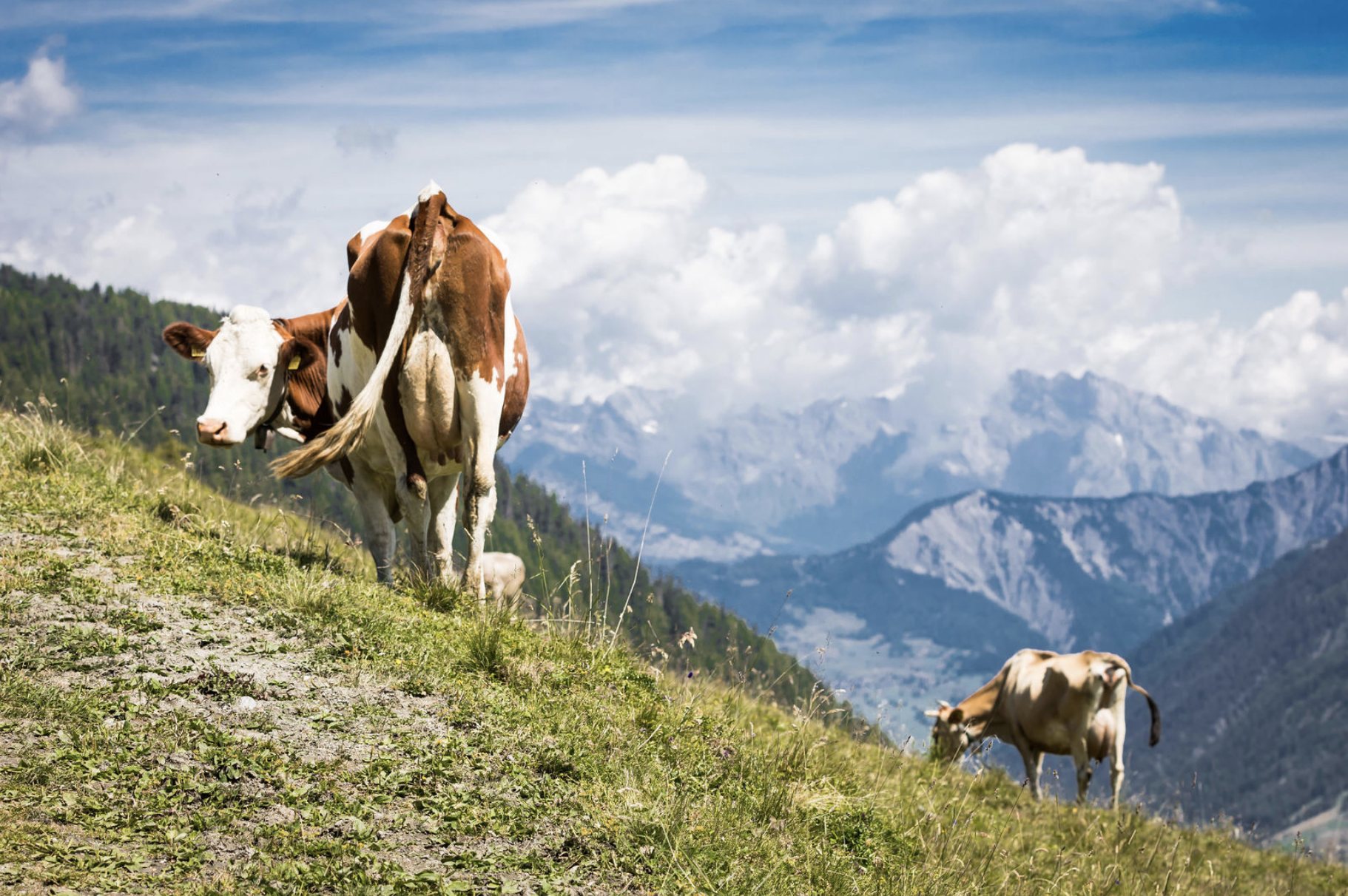 Screenshot 2020-10-06 at 17.00.31.png