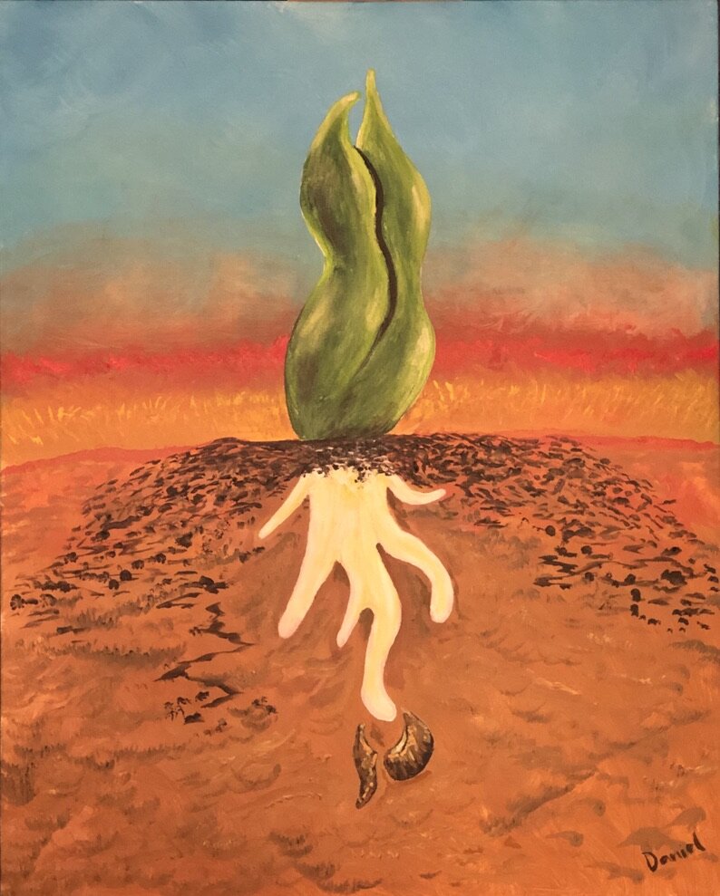 Roots Grasping New Soil