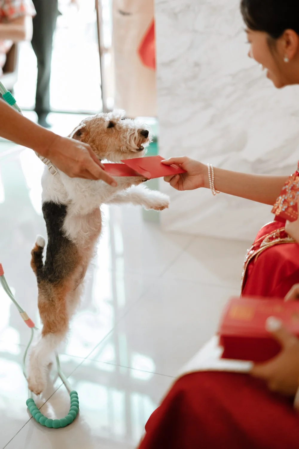 Jessie wedding-1238.jpg