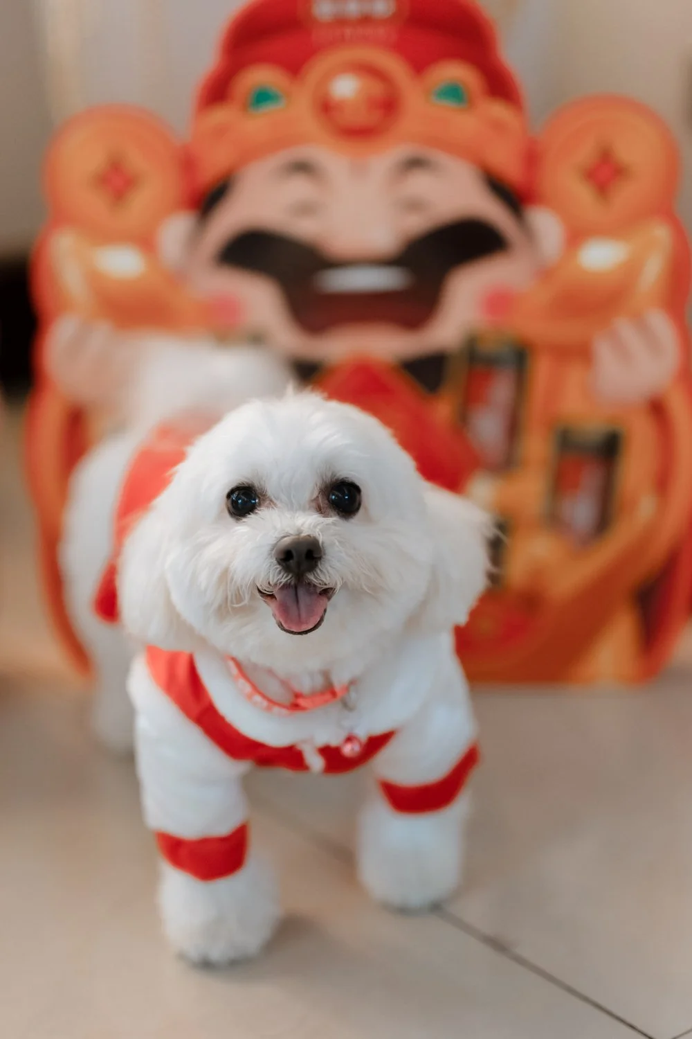 Janice party-578.jpg