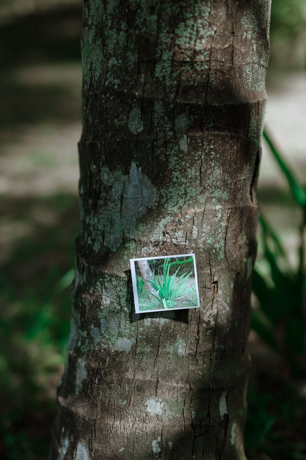 Hayley goh birthday-217.jpg