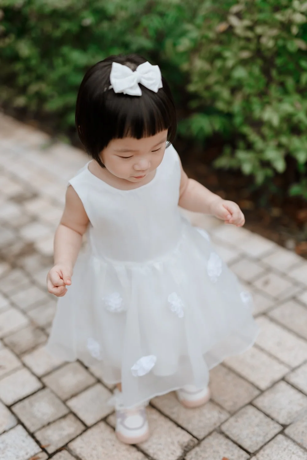 Jing family-204.jpg