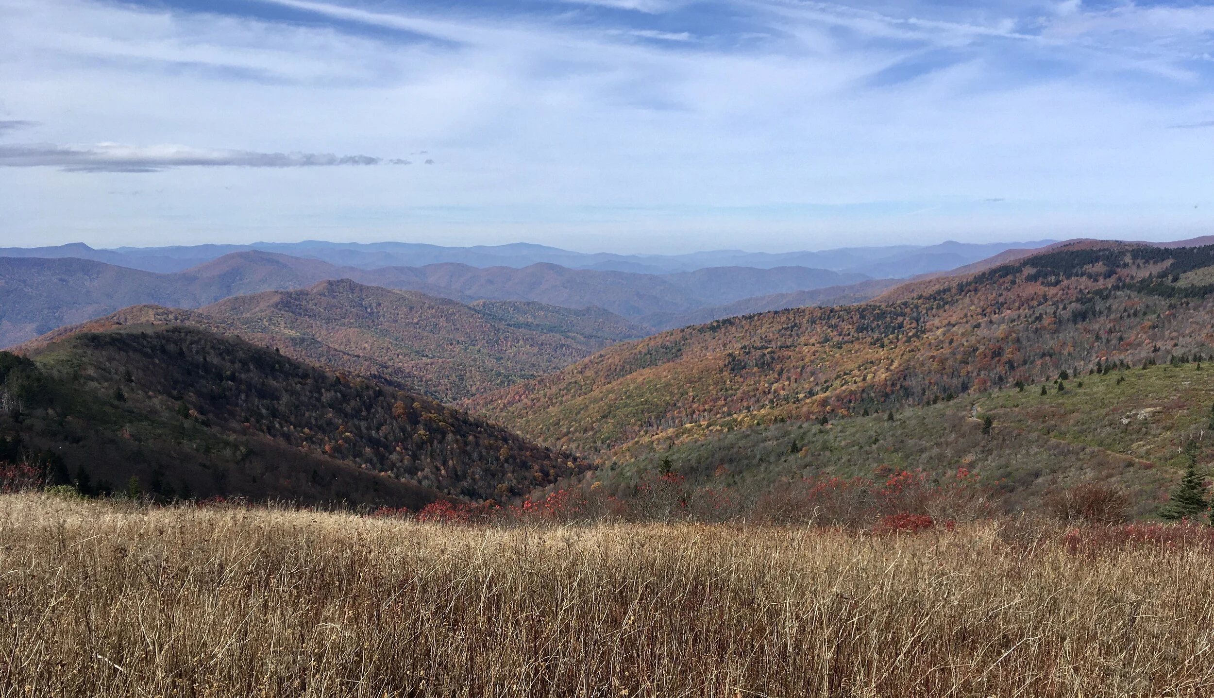 Blue Ridge near Asheville_1020_Jeff Muse.jpeg