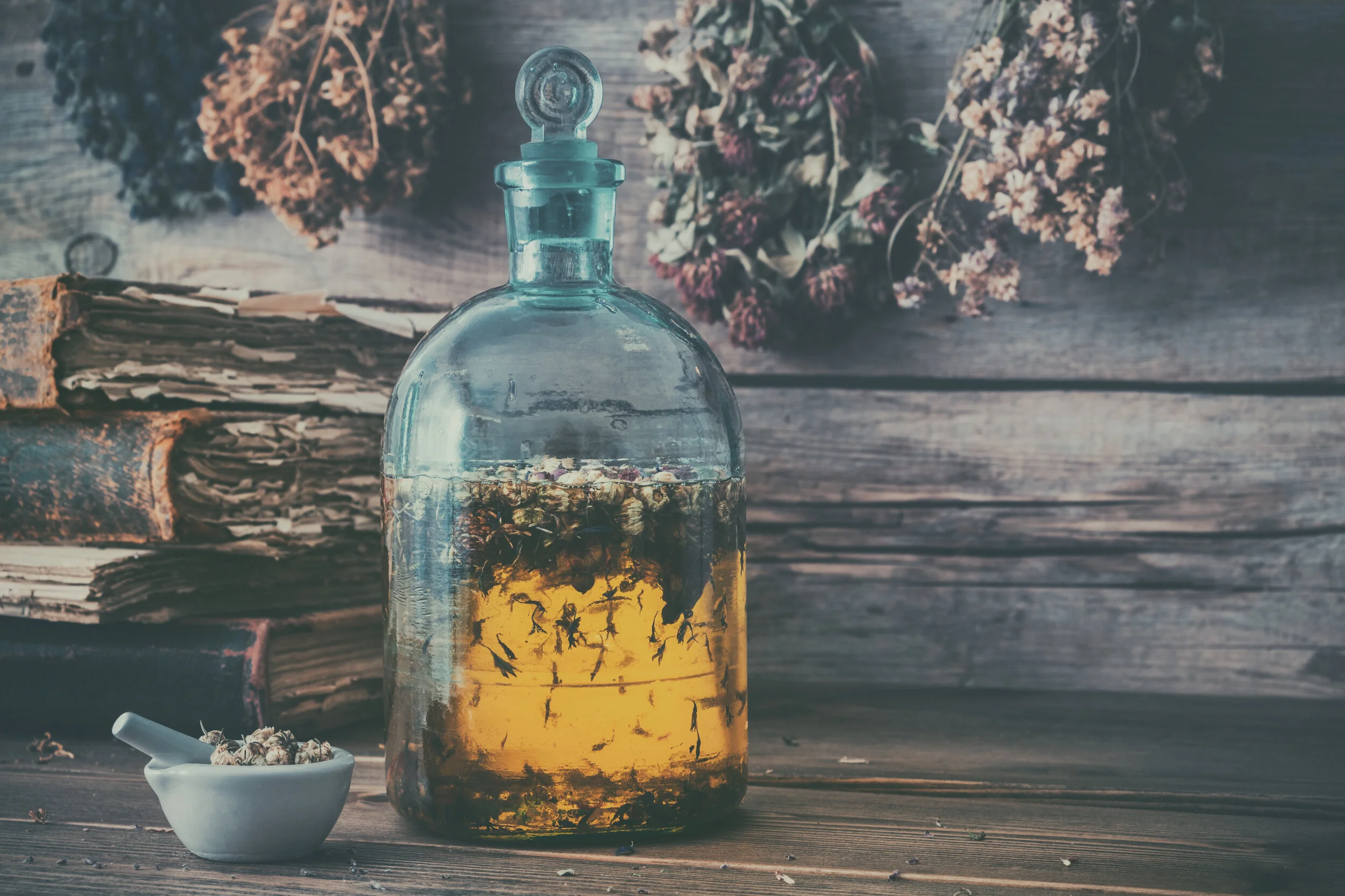 Fermentation or Cooking Classes