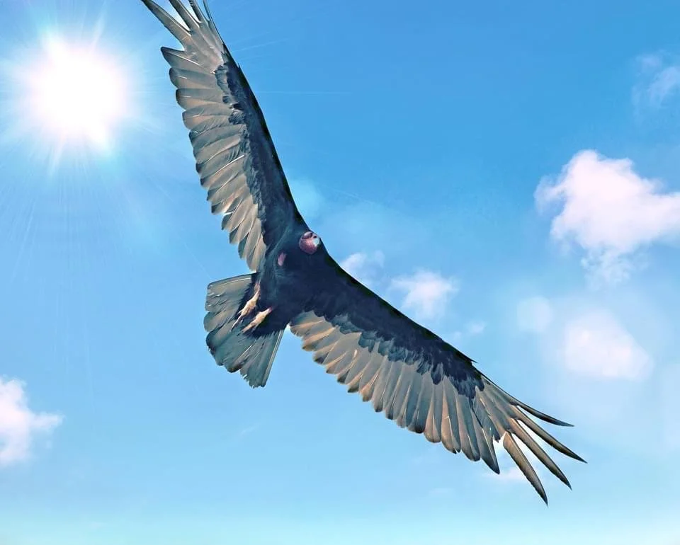 A Mother’s Day Message from Spirit 