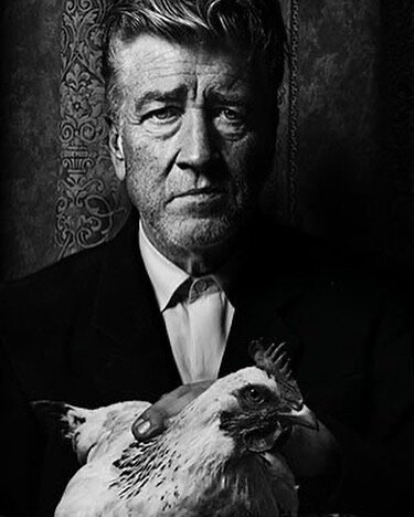 #davidlynch #chicken #director #twinpeaks #mulhollanddrive #film #cinema #movies