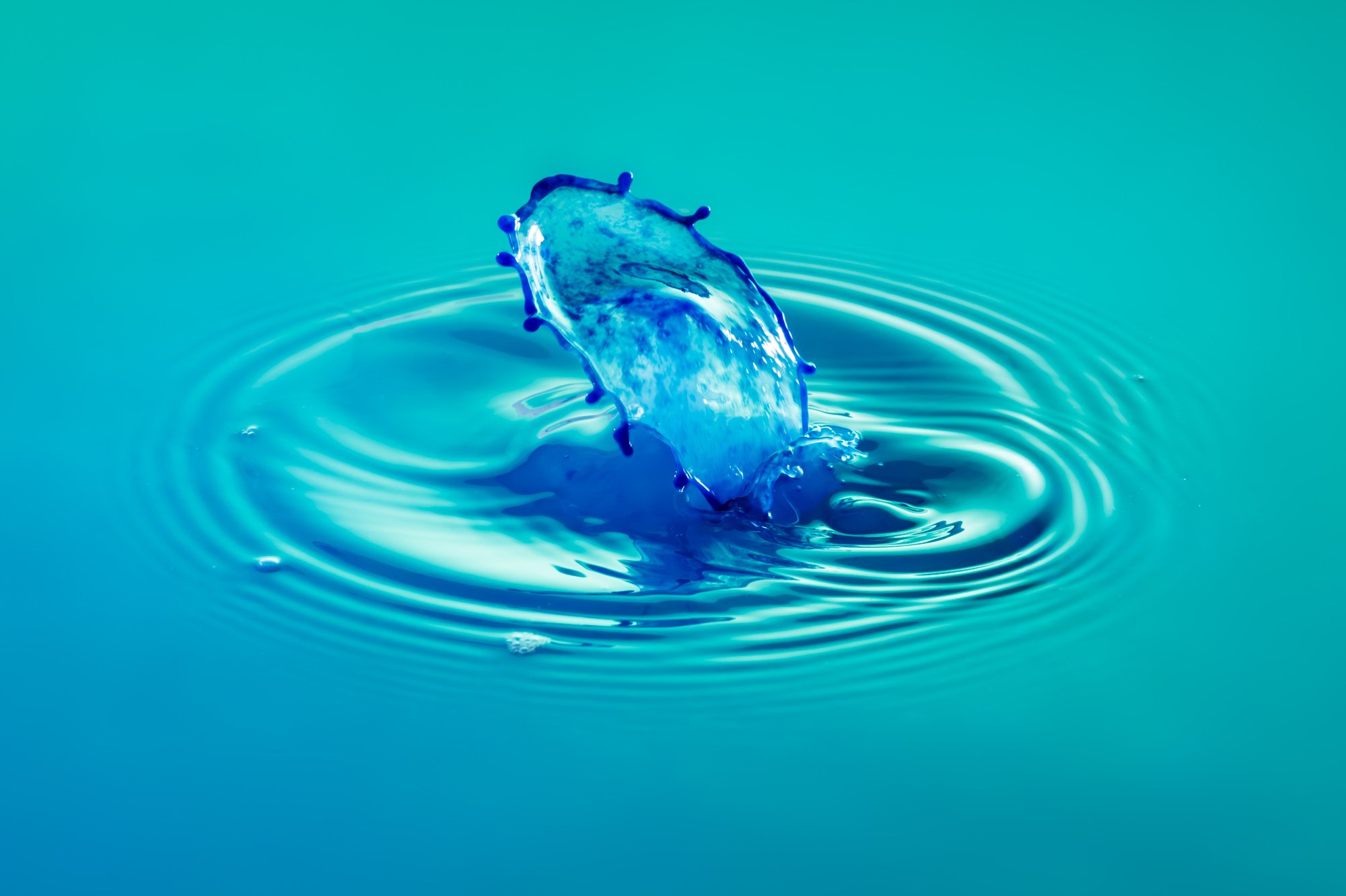 SimplyEdwin_WEB_Splash Macro-20.jpg