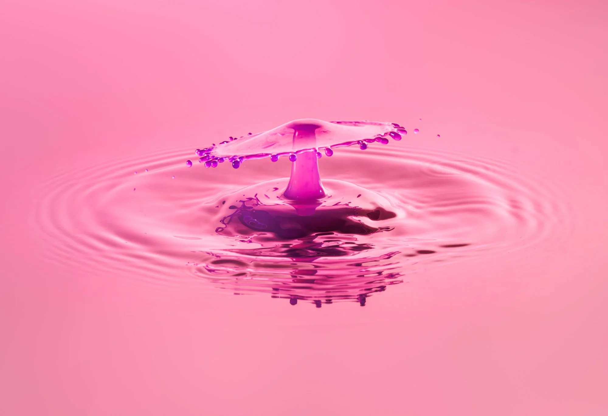 SimplyEdwin_WEB_Splash Macro-8.jpg