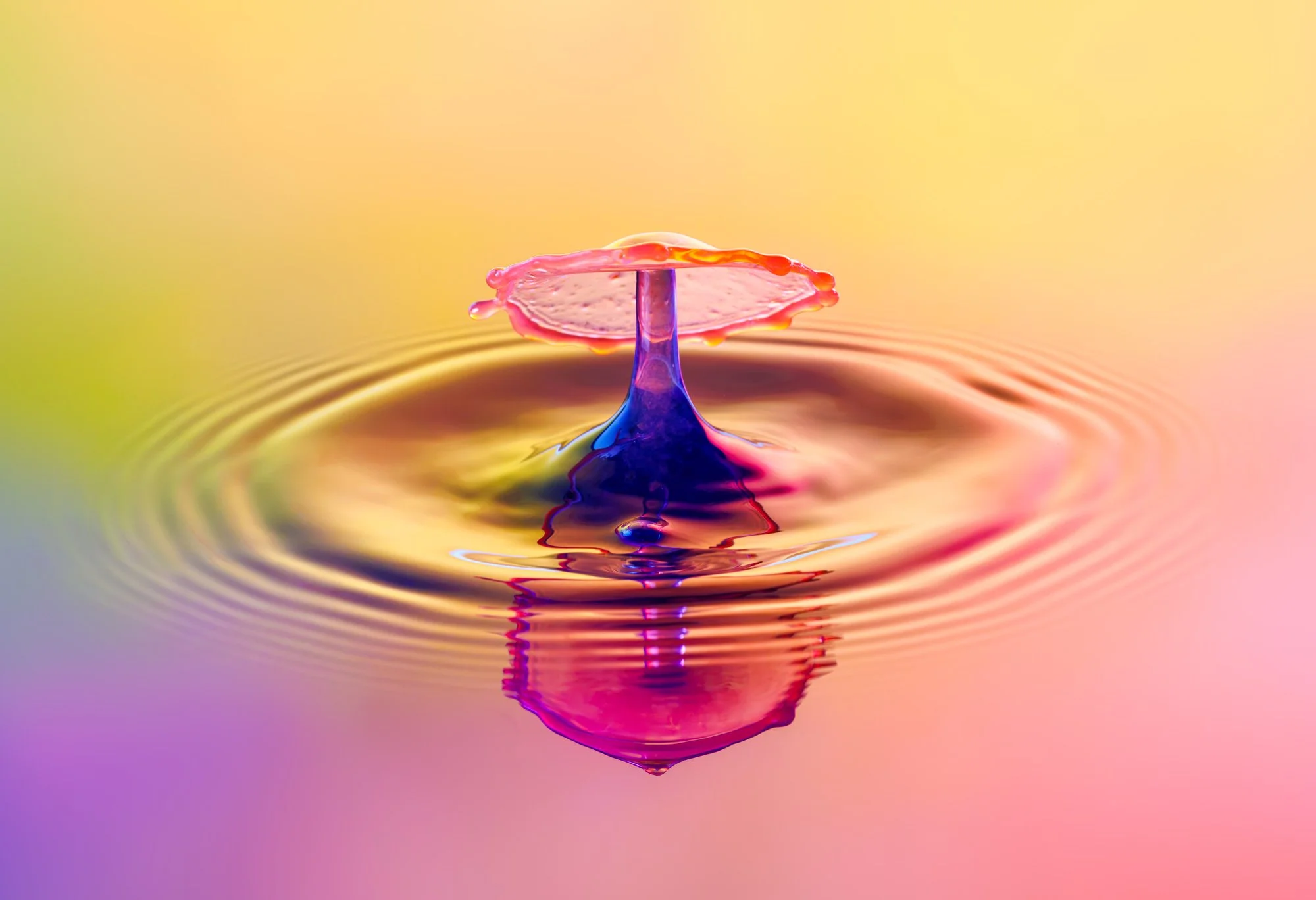 SimplyEdwin_WEB_Splash Macro-7.jpg