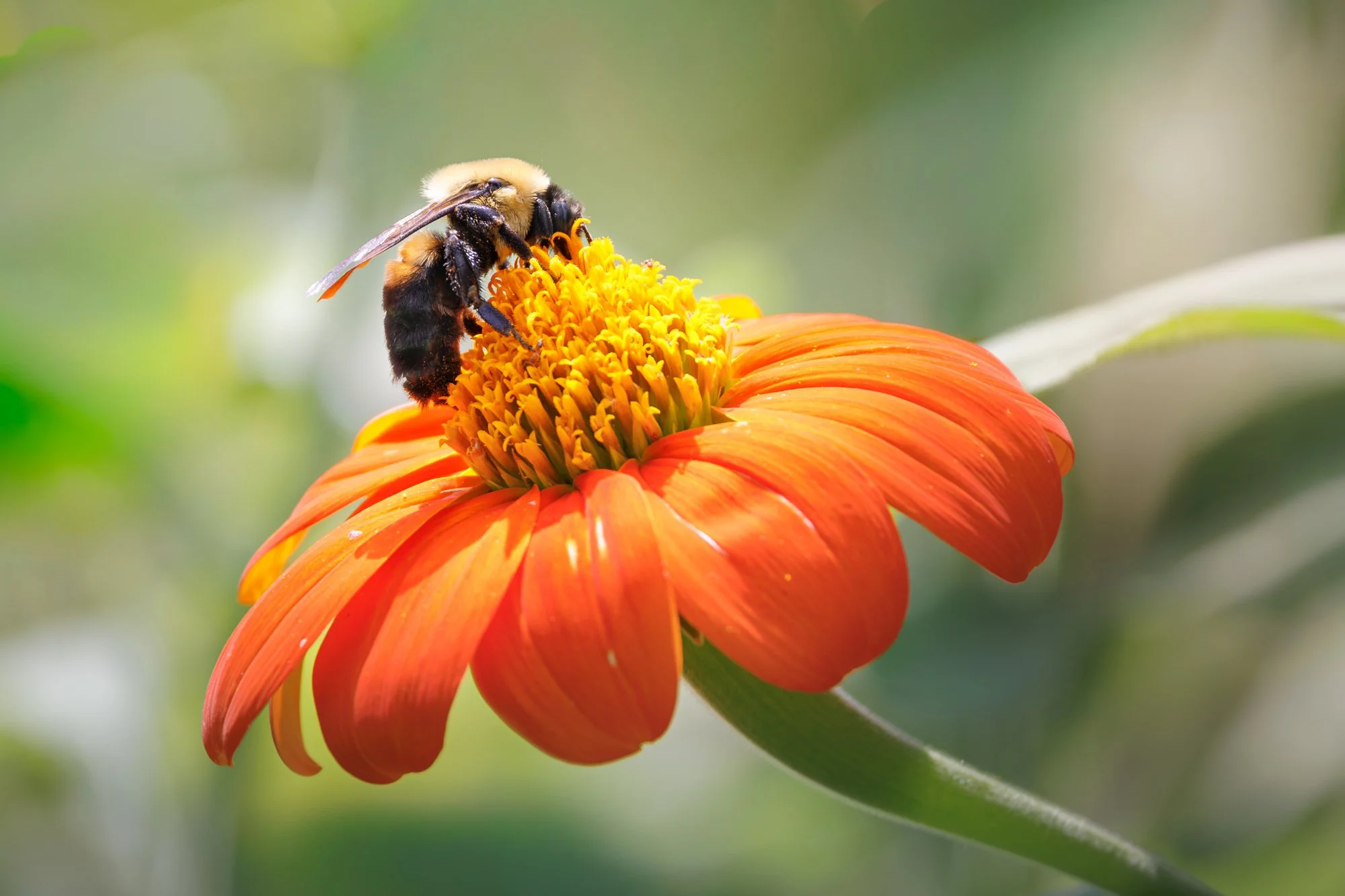 SimplyEdwin_WEB_Botanical-35.jpg