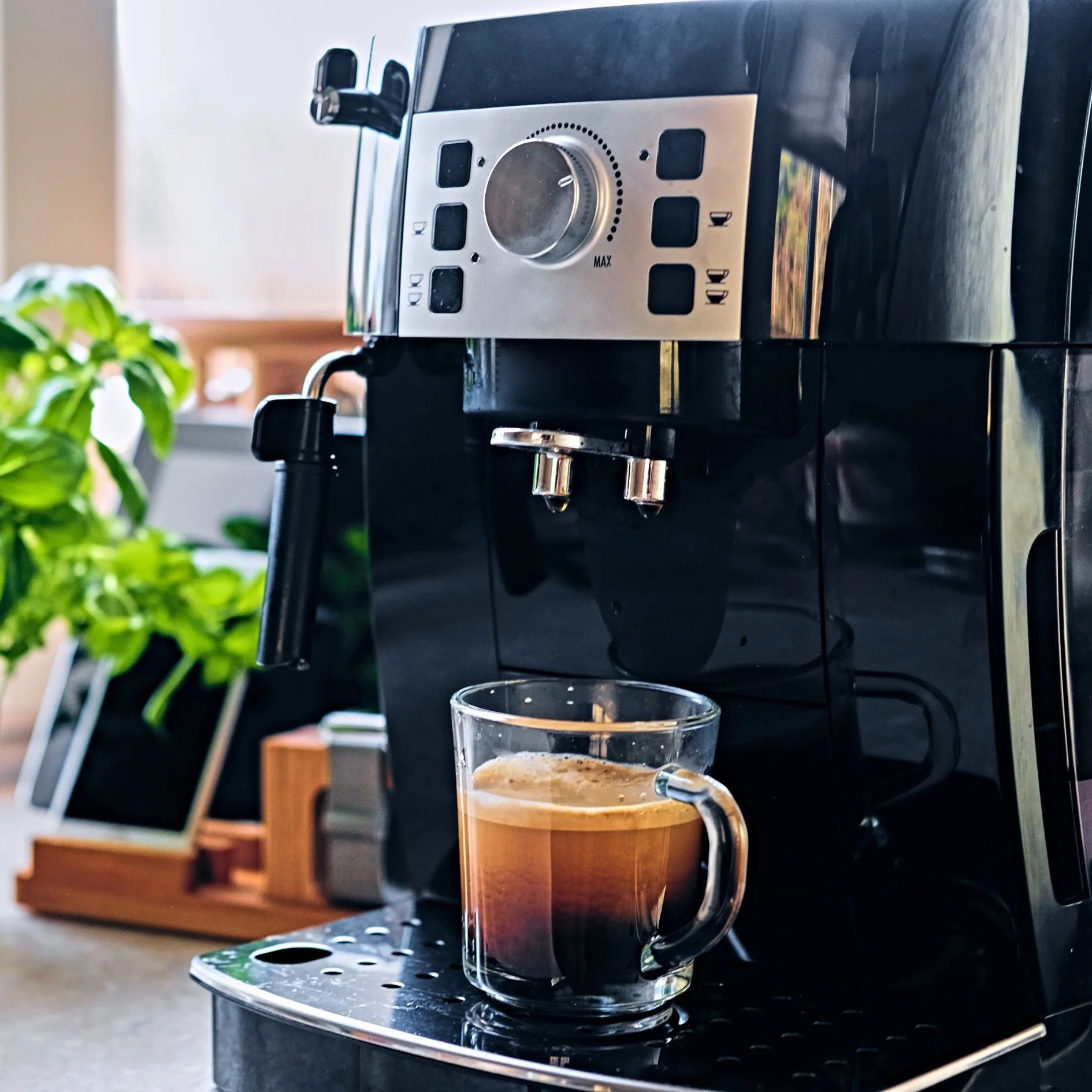 Organic Coffee: Worth the Hype?