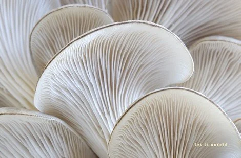 Just in time for outdoor dining 🍽️

We believe that all dining environments deserve attention to detail, from the finest to the most casual. 

Our newest, cheekiest paper placemats come in a pad of 25. Simply tear and place on your table for a wonde