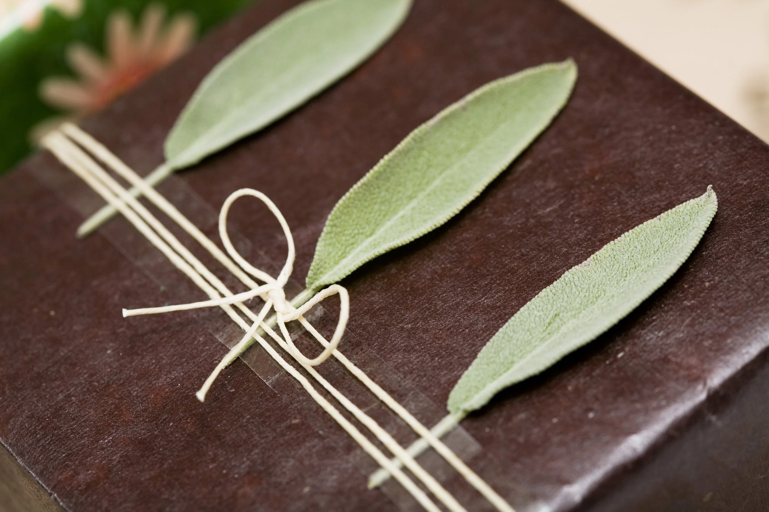 Sage Leaves.jpg
