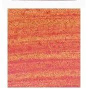 fuchsia de magellan.jpg