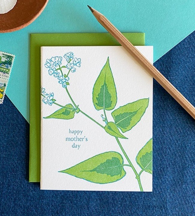 Persicaria Mother's Day Card.jpg