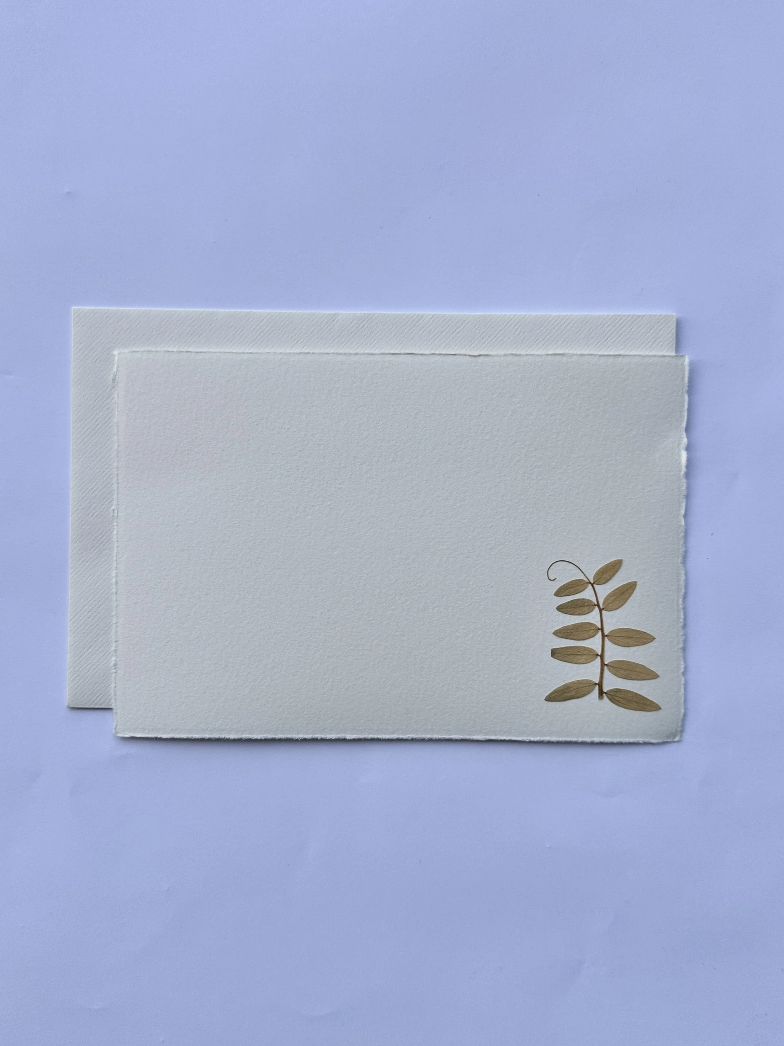 PFN14 Common Hairy Tare.jpg