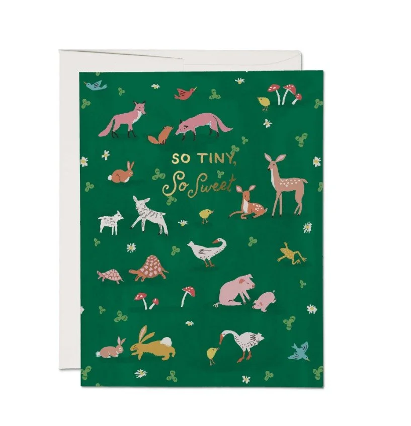 Whimsical Woodland
