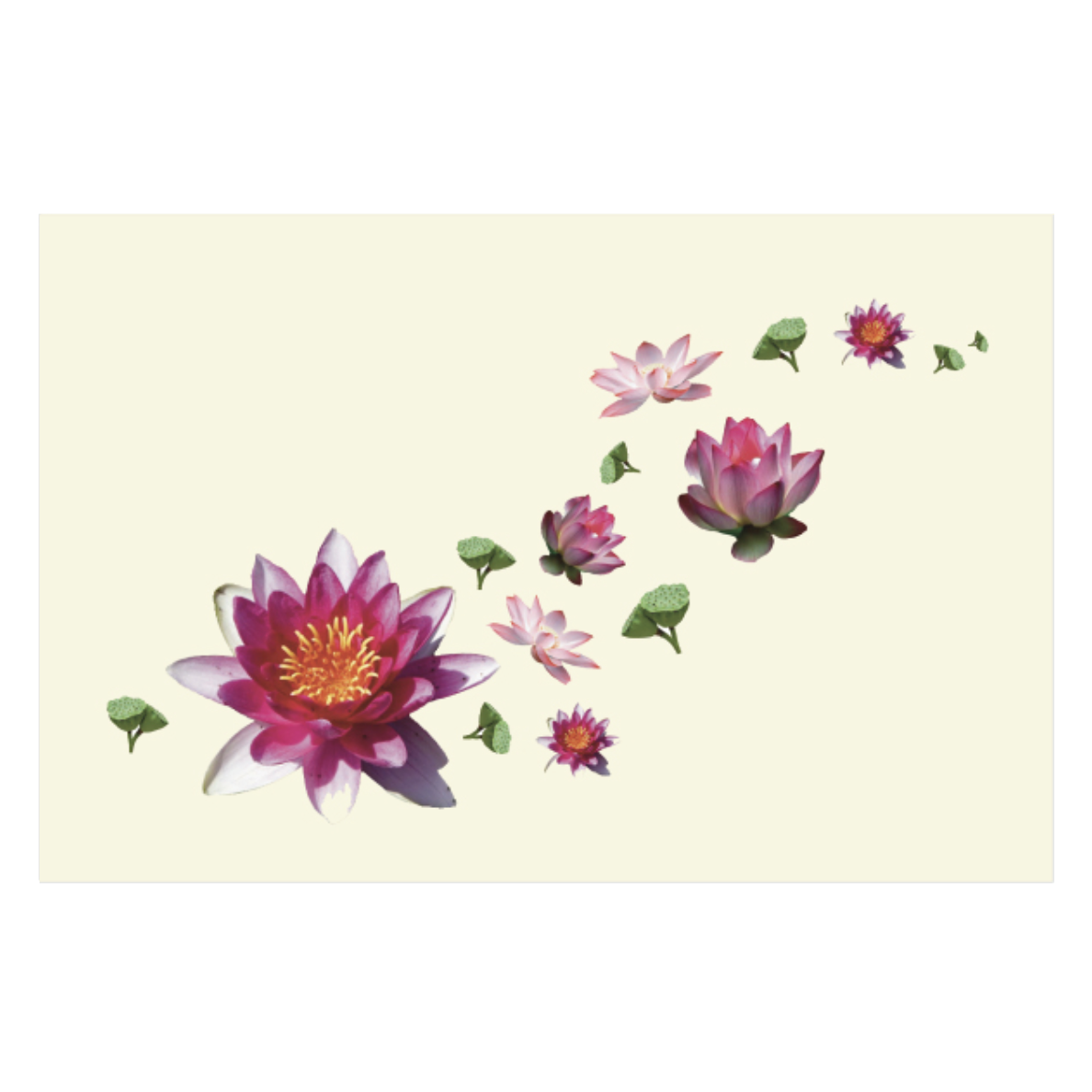 Paper Placemats - Lotus Flowers