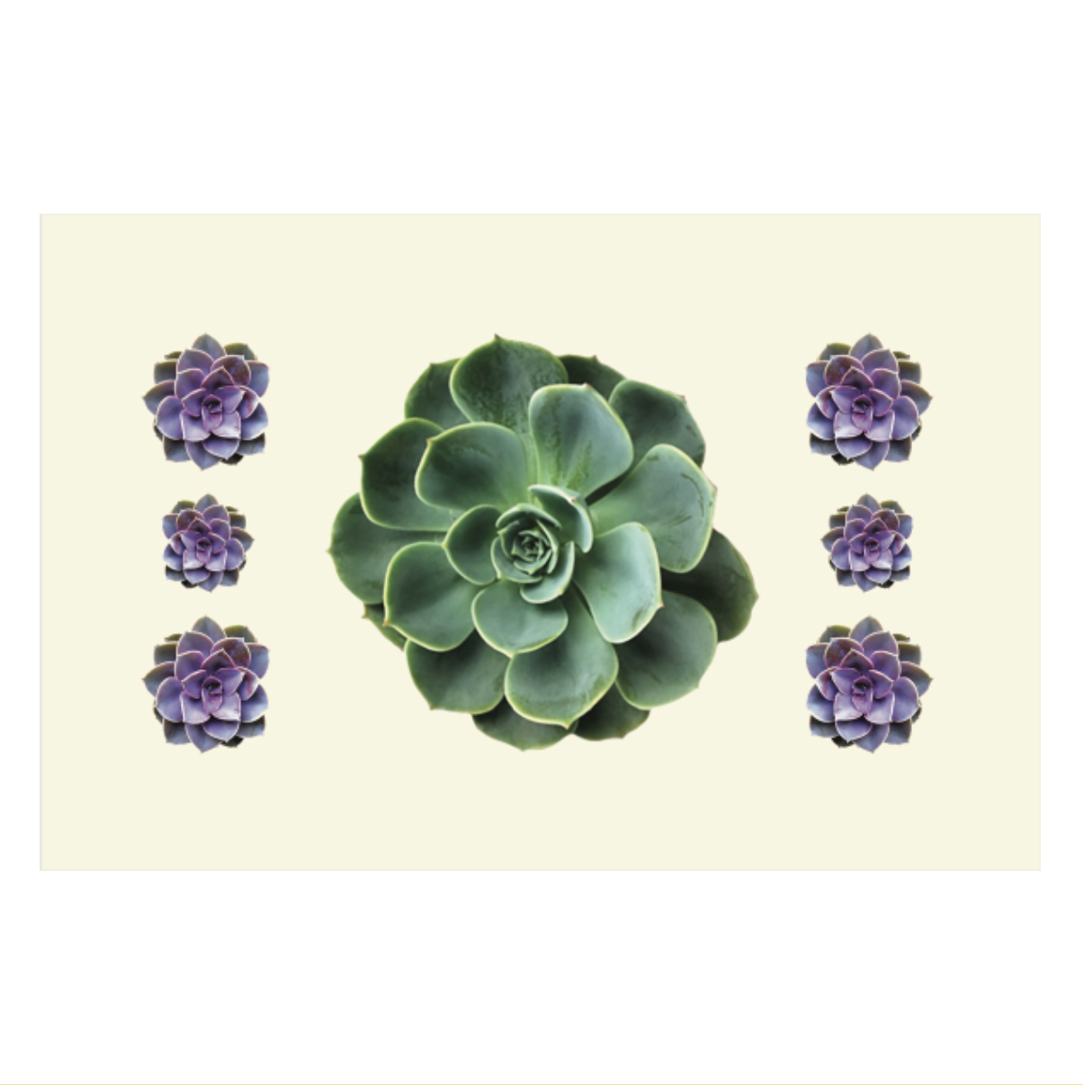 Paper Placemats - Succulents