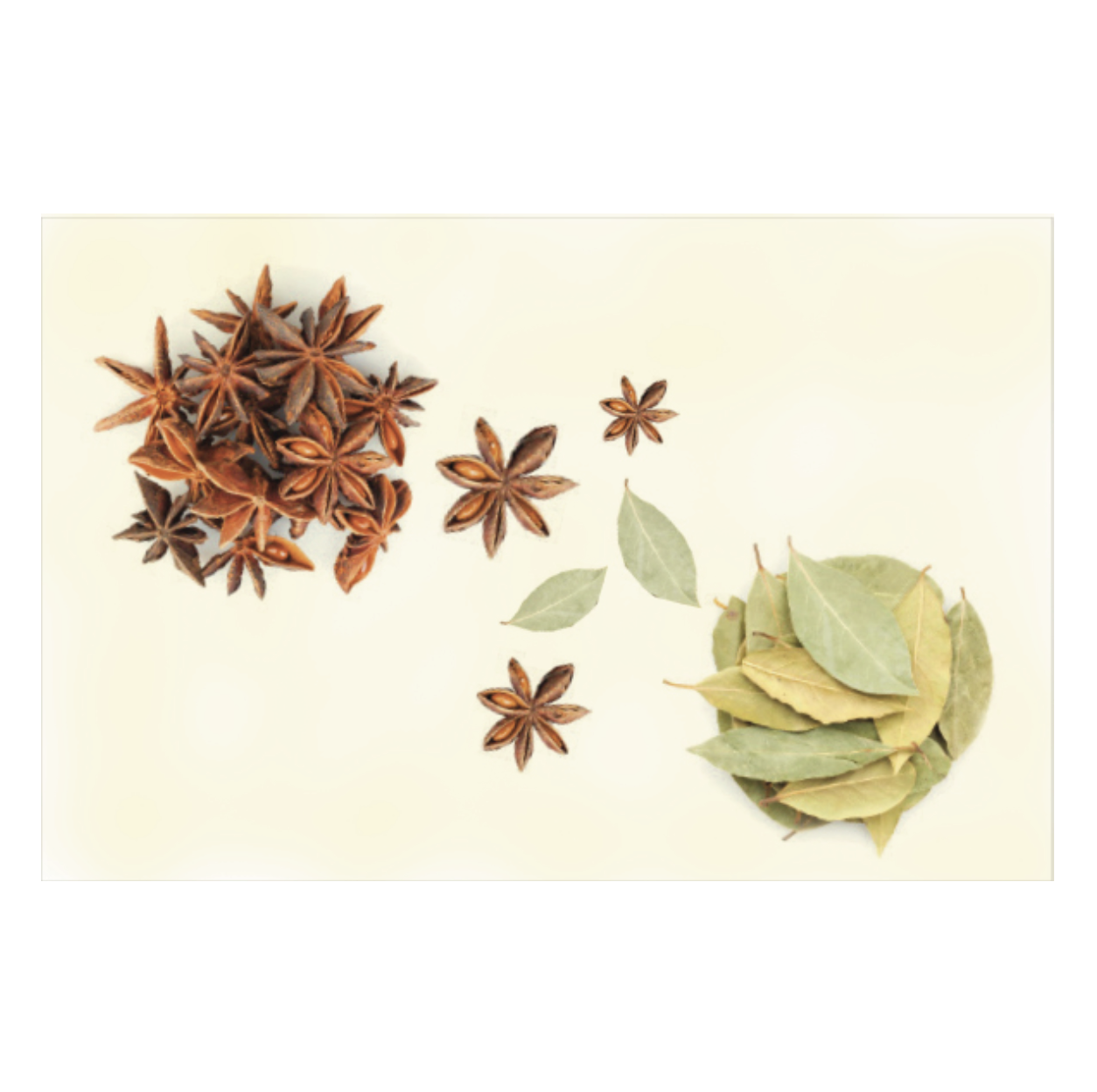 Paper Placemats - Spice