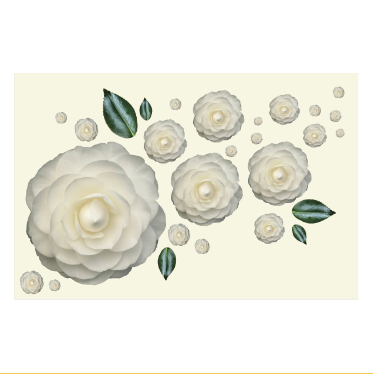 Paper Placemats - Camellia Flowers