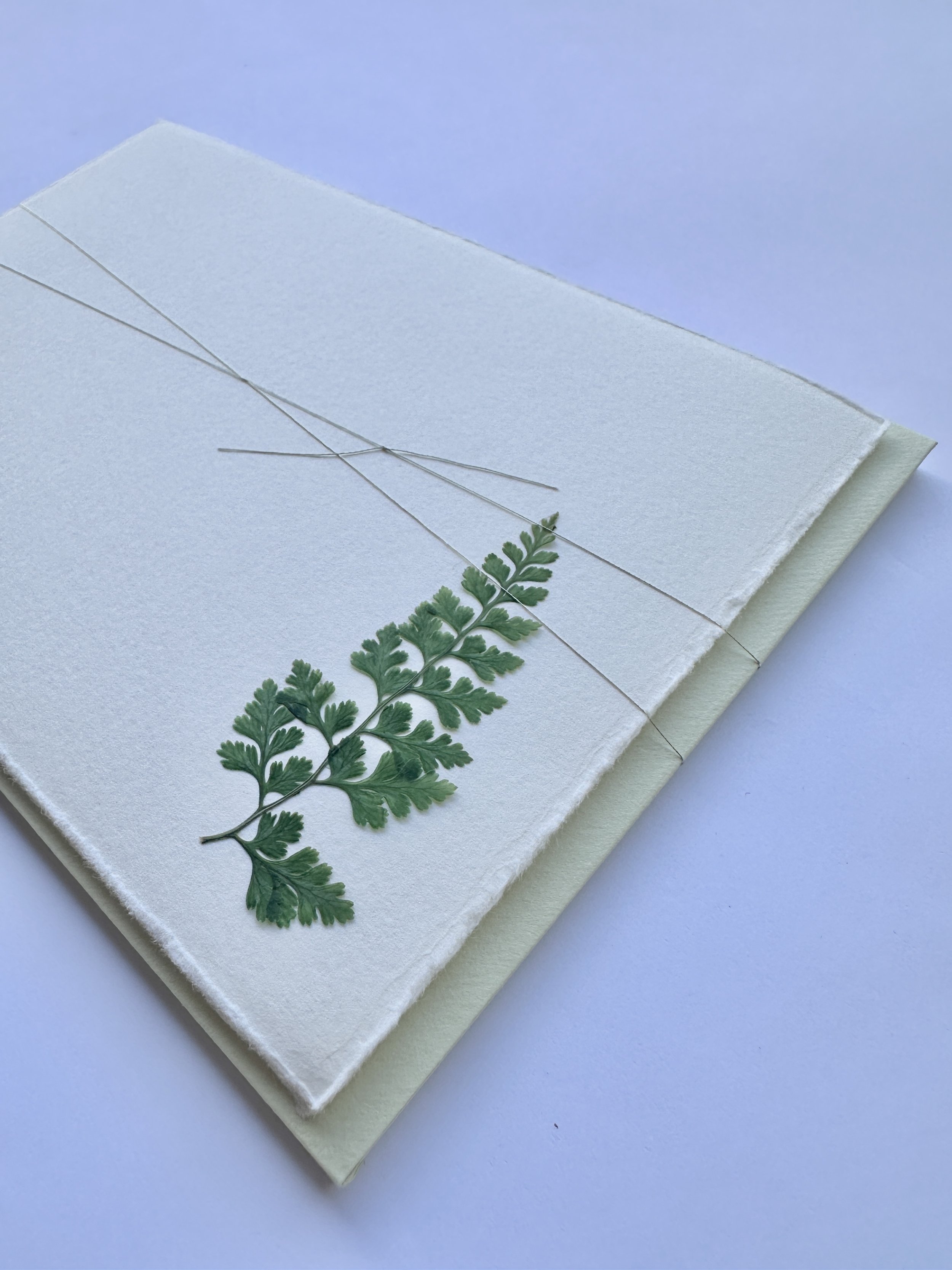 PFN10 Bead Fern3.jpg