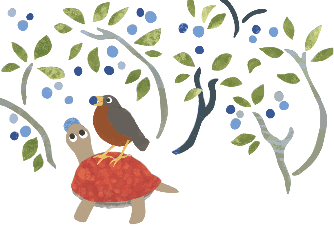 Little Turtle and Robin