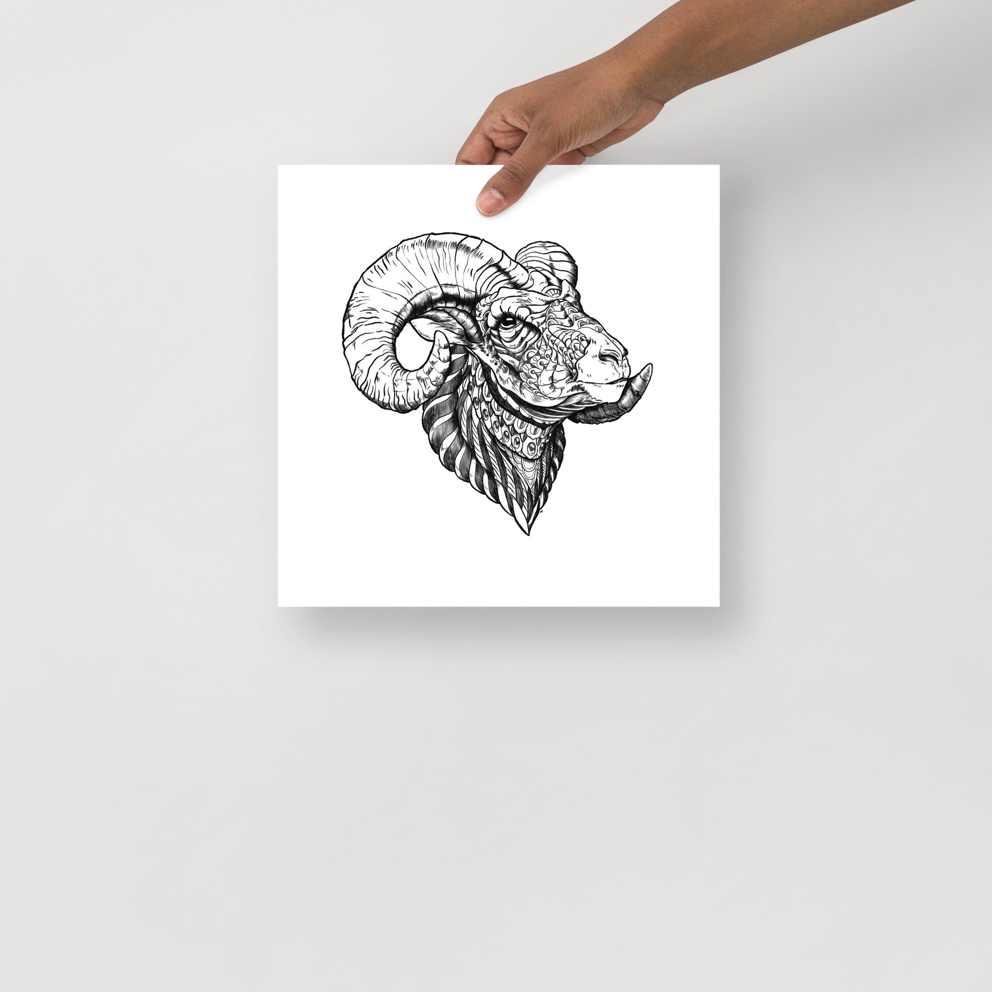 enhanced-matte-paper-poster-(in)-12x12-front-63fc00088c496.jpg