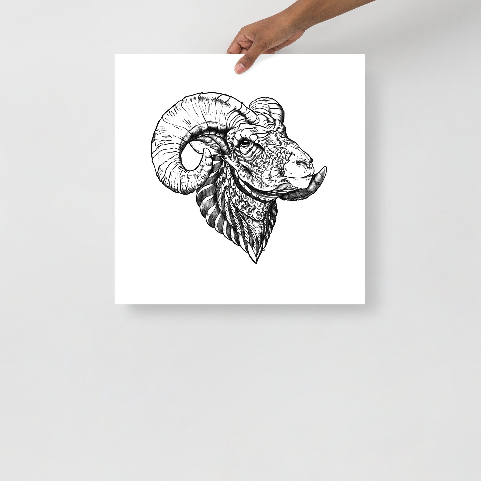 enhanced-matte-paper-poster-(in)-18x18-front-63fc00088c978.jpg