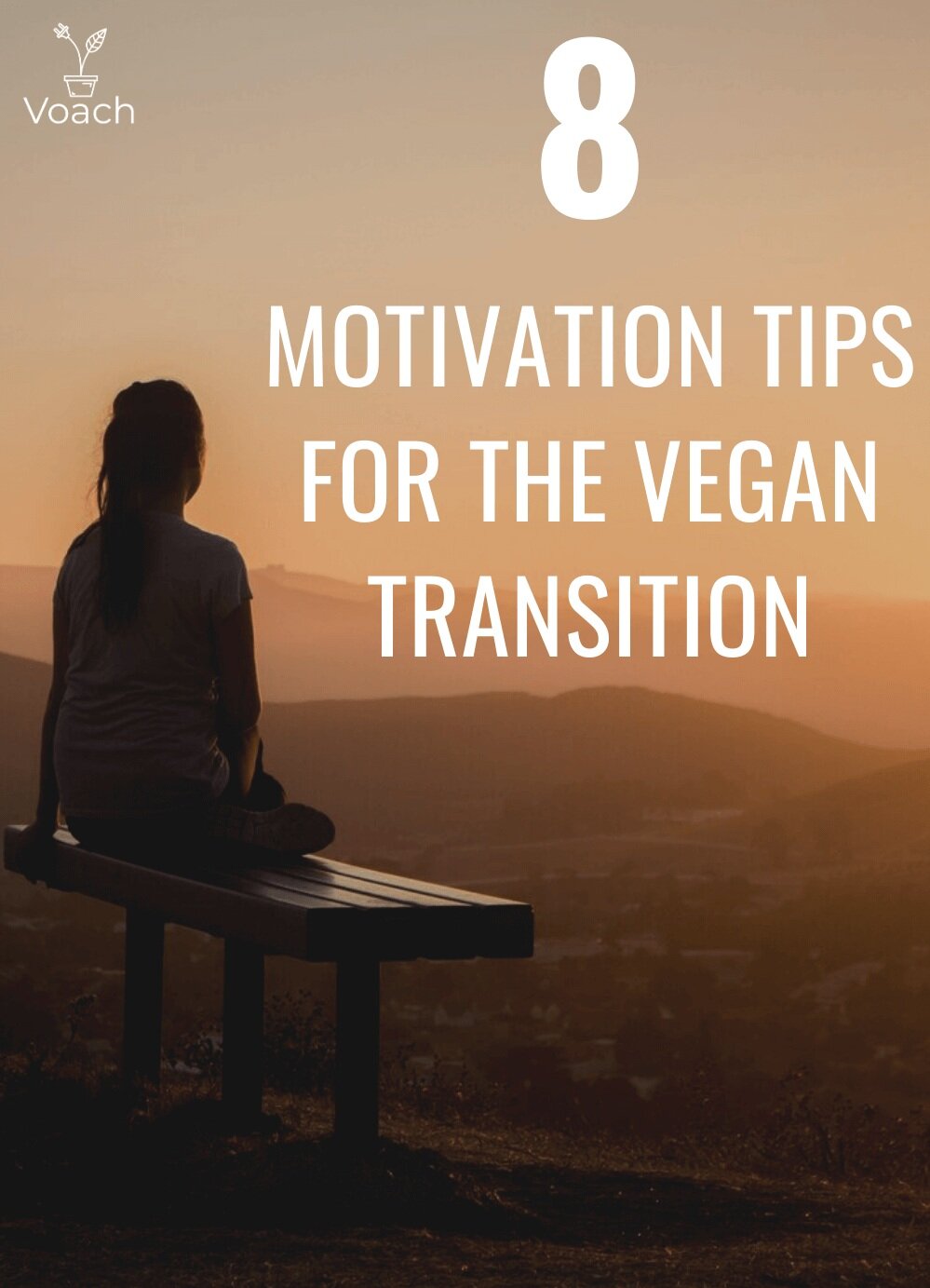 how+to+stay+motivated+in+veganuary