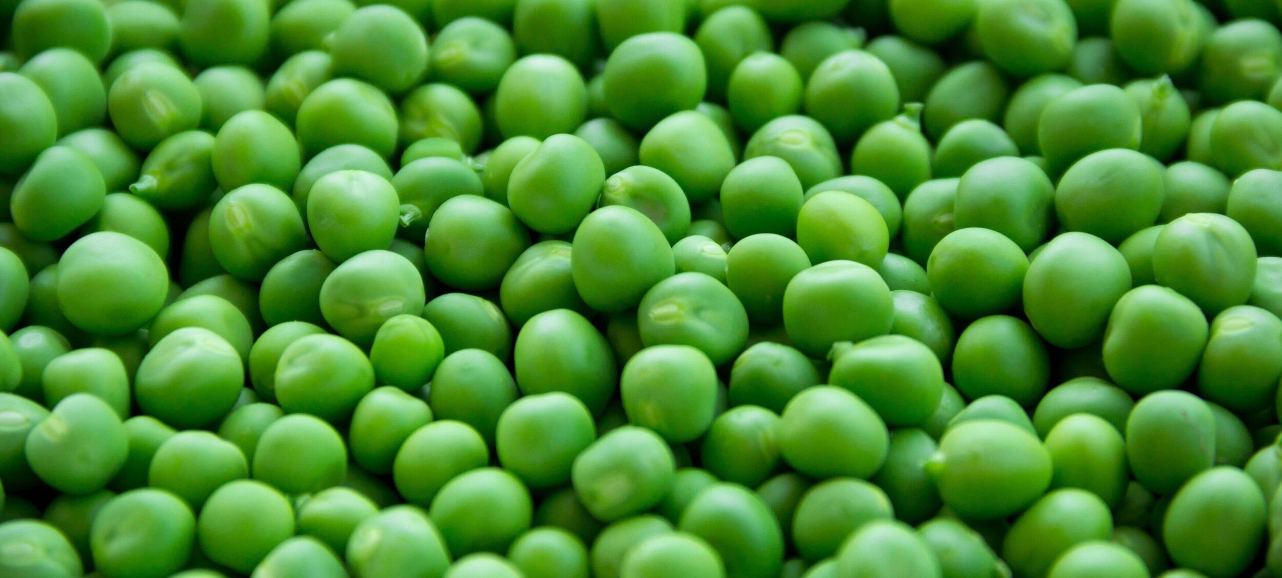 Healthy and Organic Green Peas