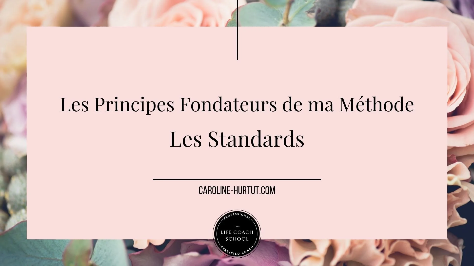 Les Principes Fondateurs de ma Méthode - Les Standards