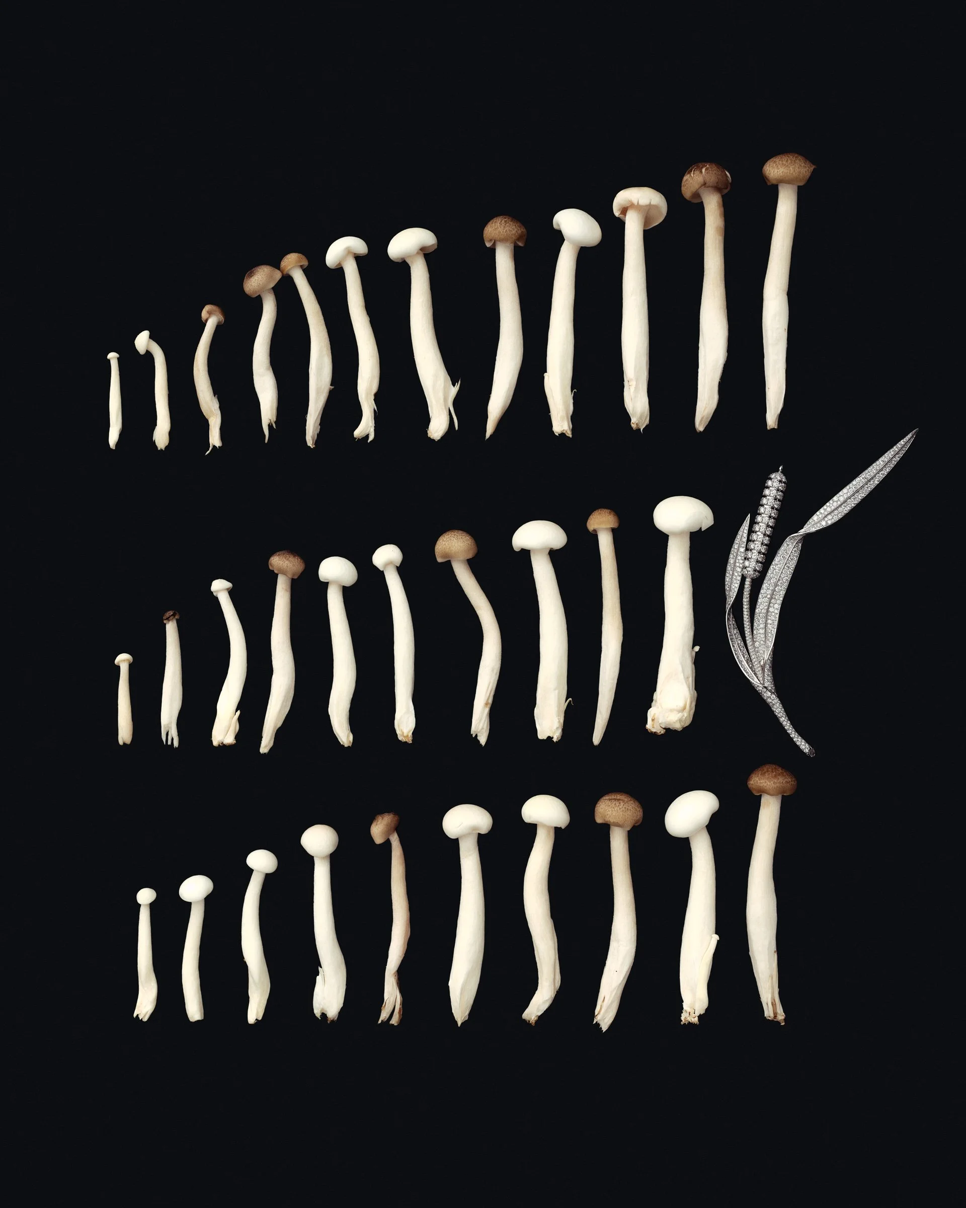 High jewellery_CG_250130_HTSI_130_BOUCHERON_0403_BASE.jpg