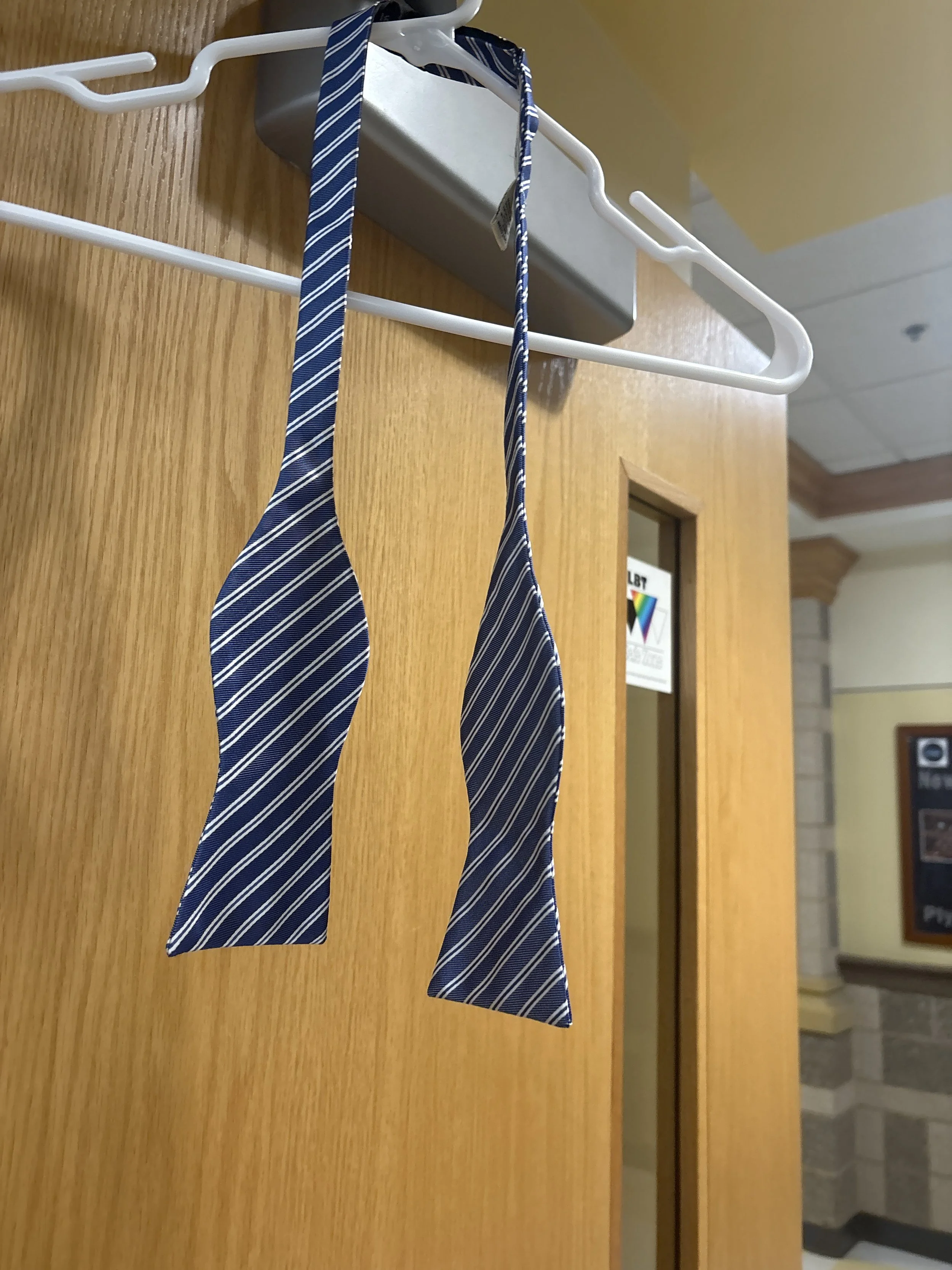 Men's Blue Bow Tie