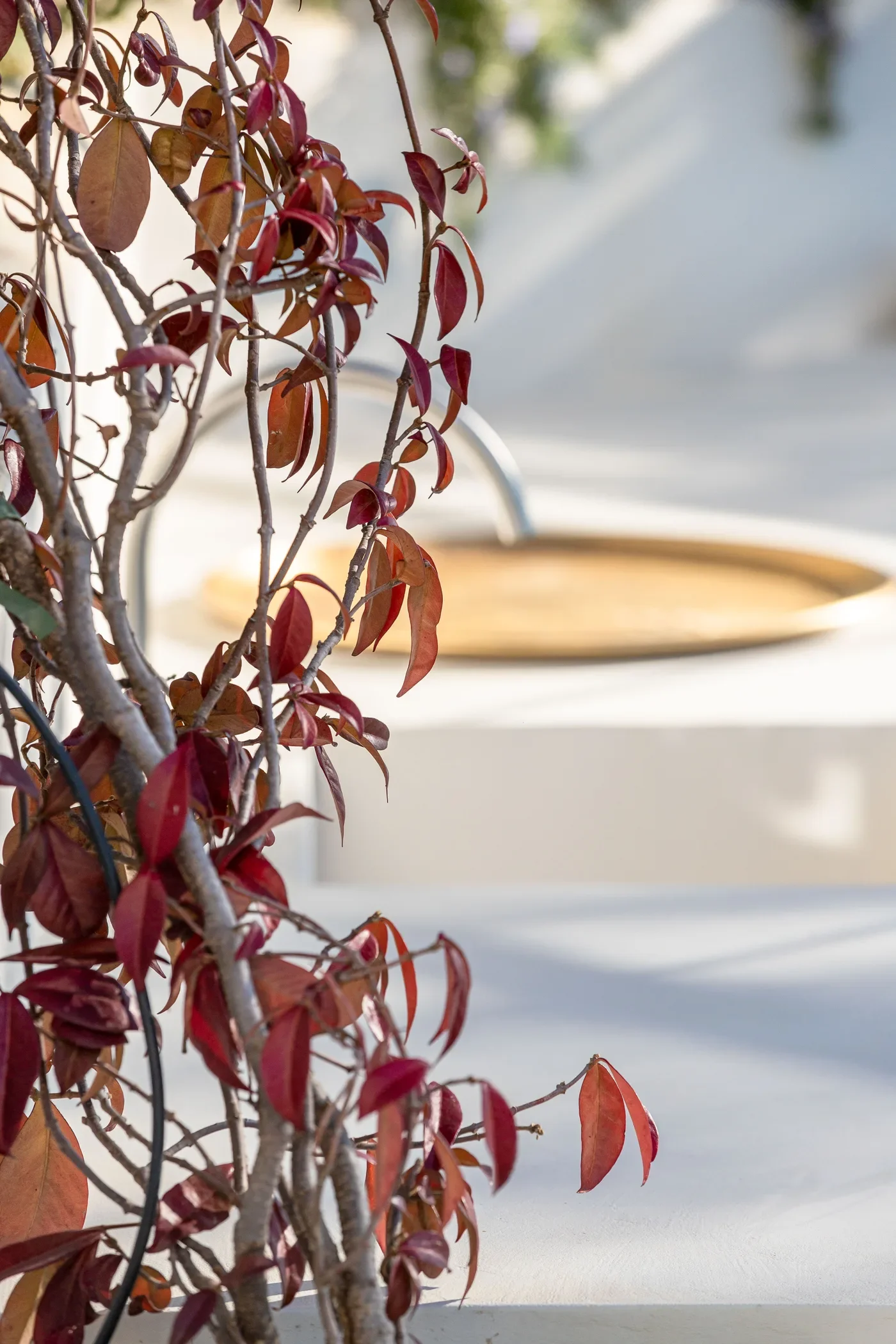 Le Collectionist_60.webp